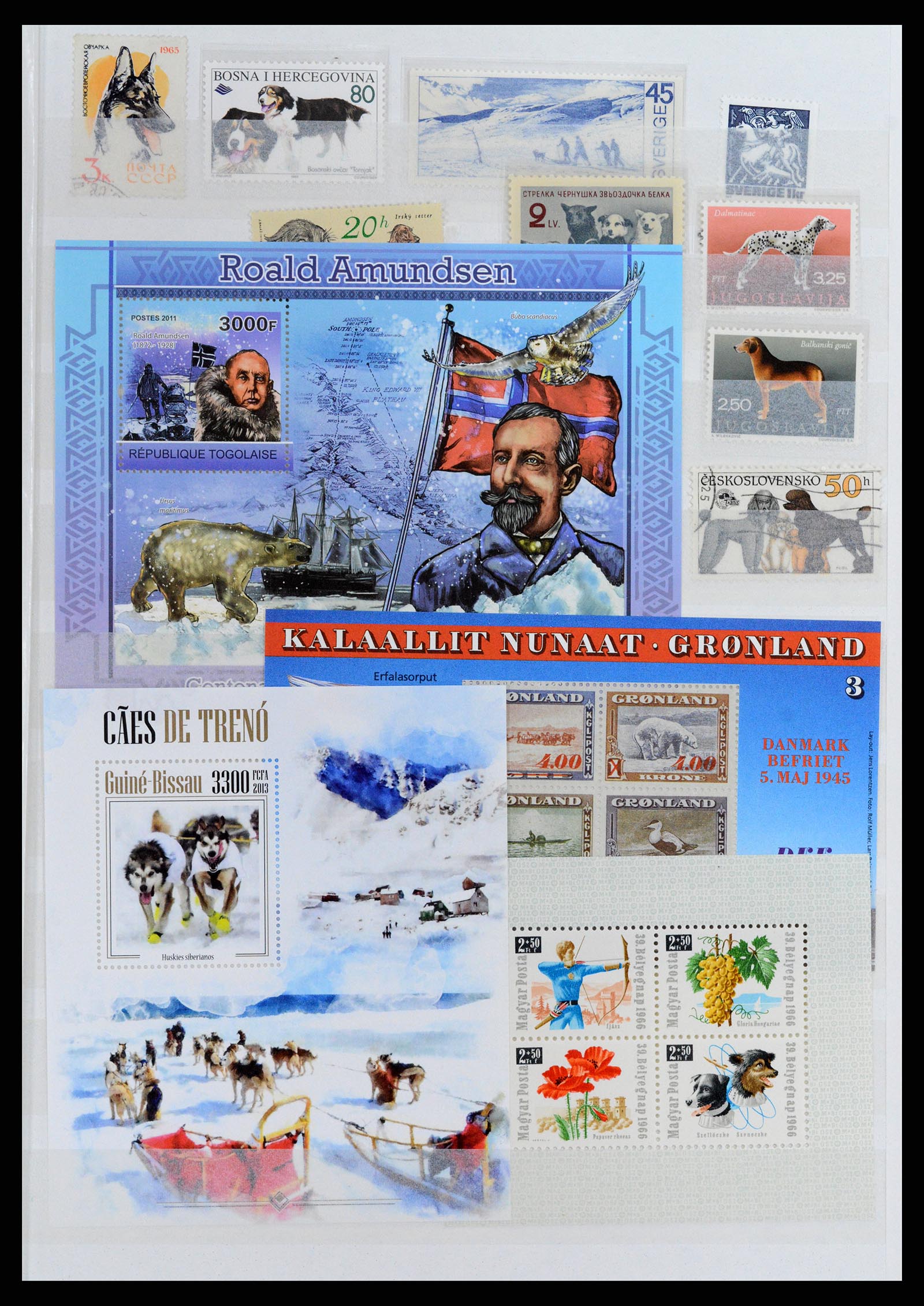 37671 009 - Stamp collection 37671 Thematics dogs 1950-2010.