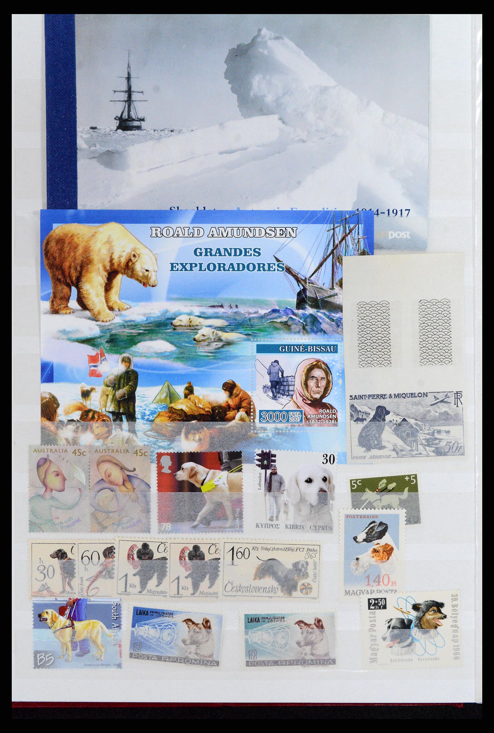 37671 012 - Postzegelverzameling 37671 Motief honden 1950-2010.