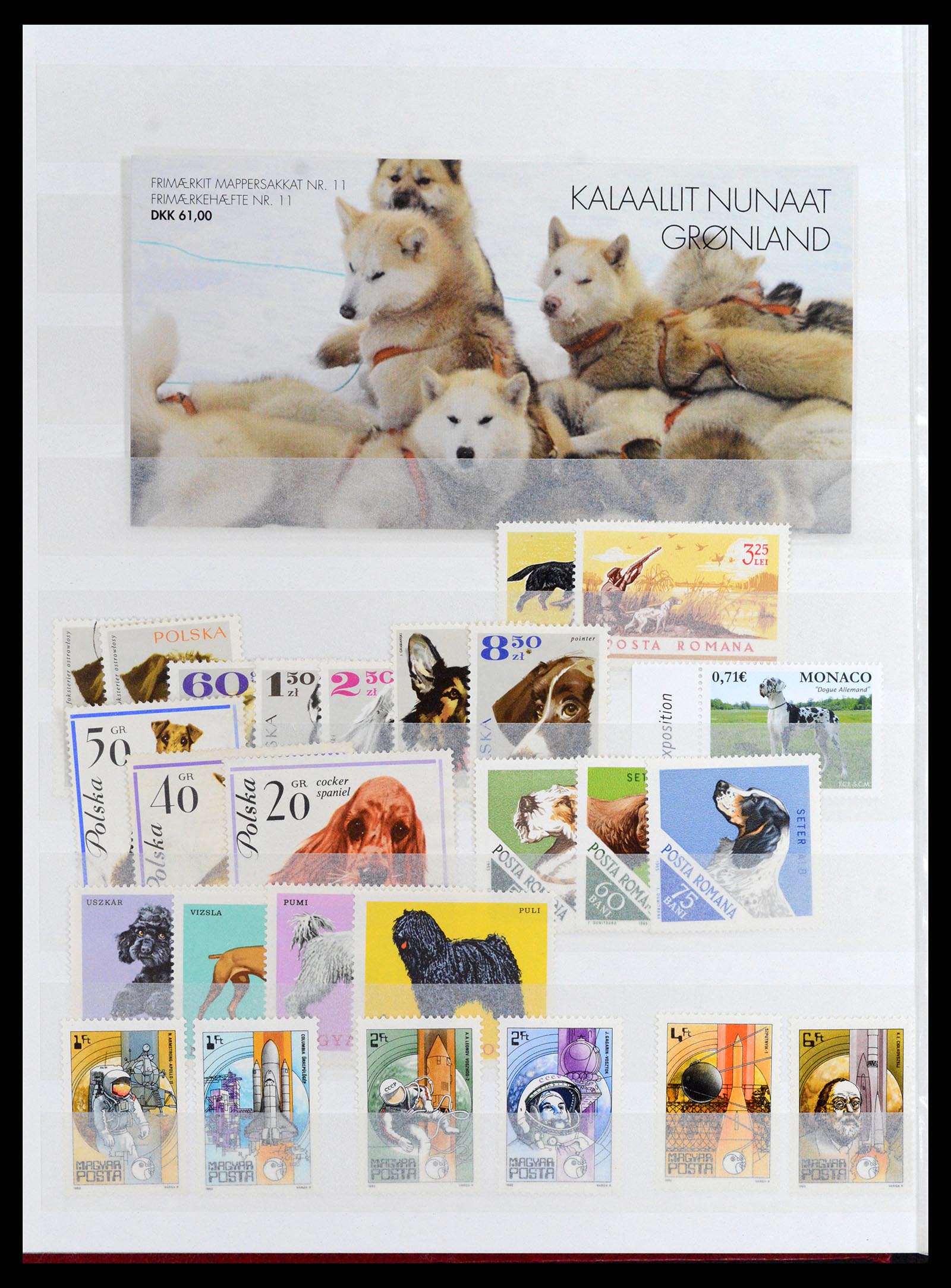 37671 014 - Postzegelverzameling 37671 Motief honden 1950-2010.