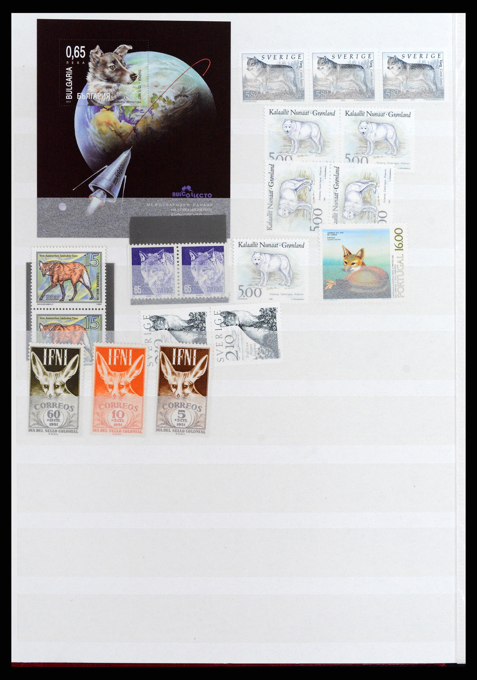 37671 016 - Postzegelverzameling 37671 Motief honden 1950-2010.