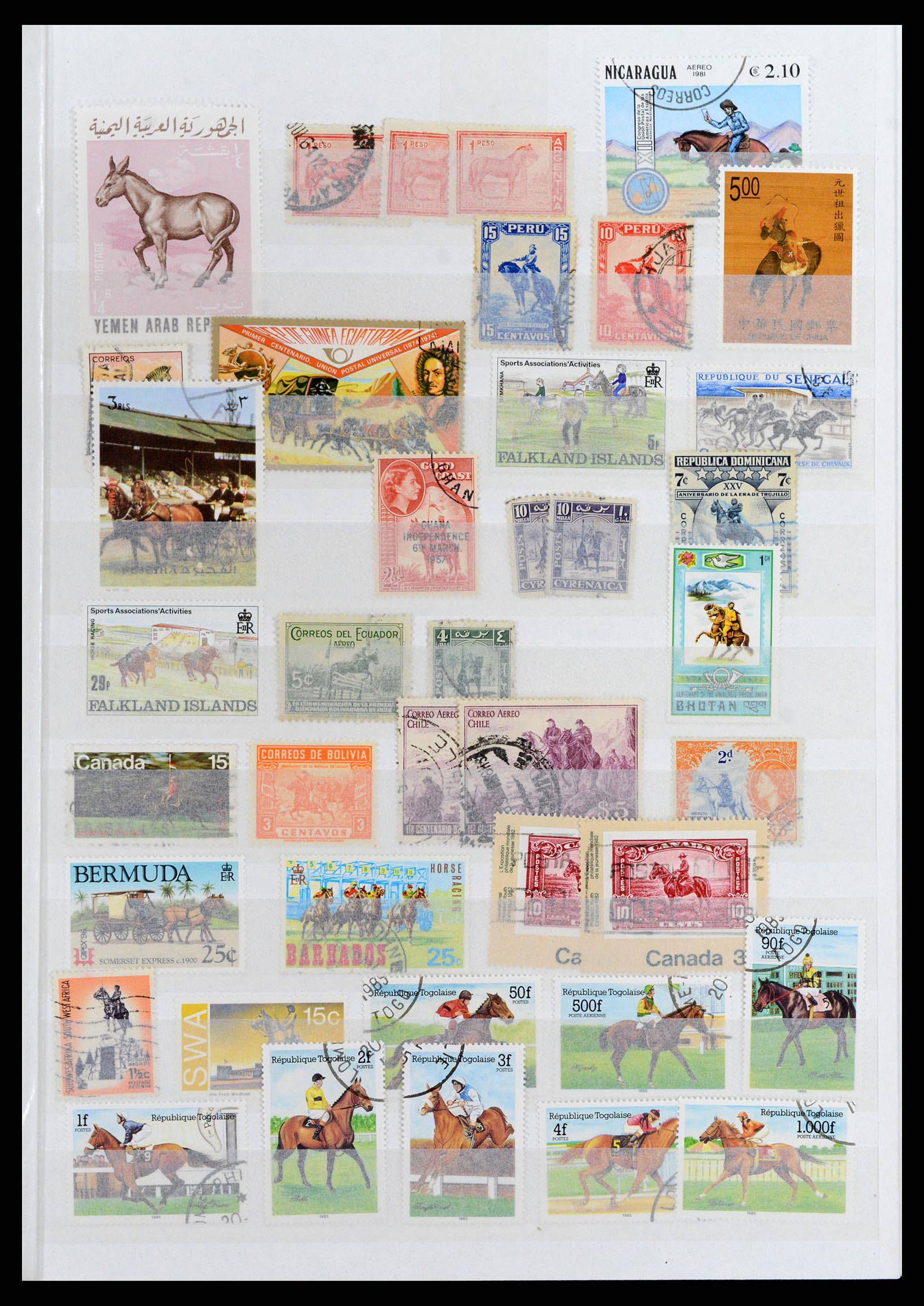 37671 019 - Postzegelverzameling 37671 Motief honden 1950-2010.