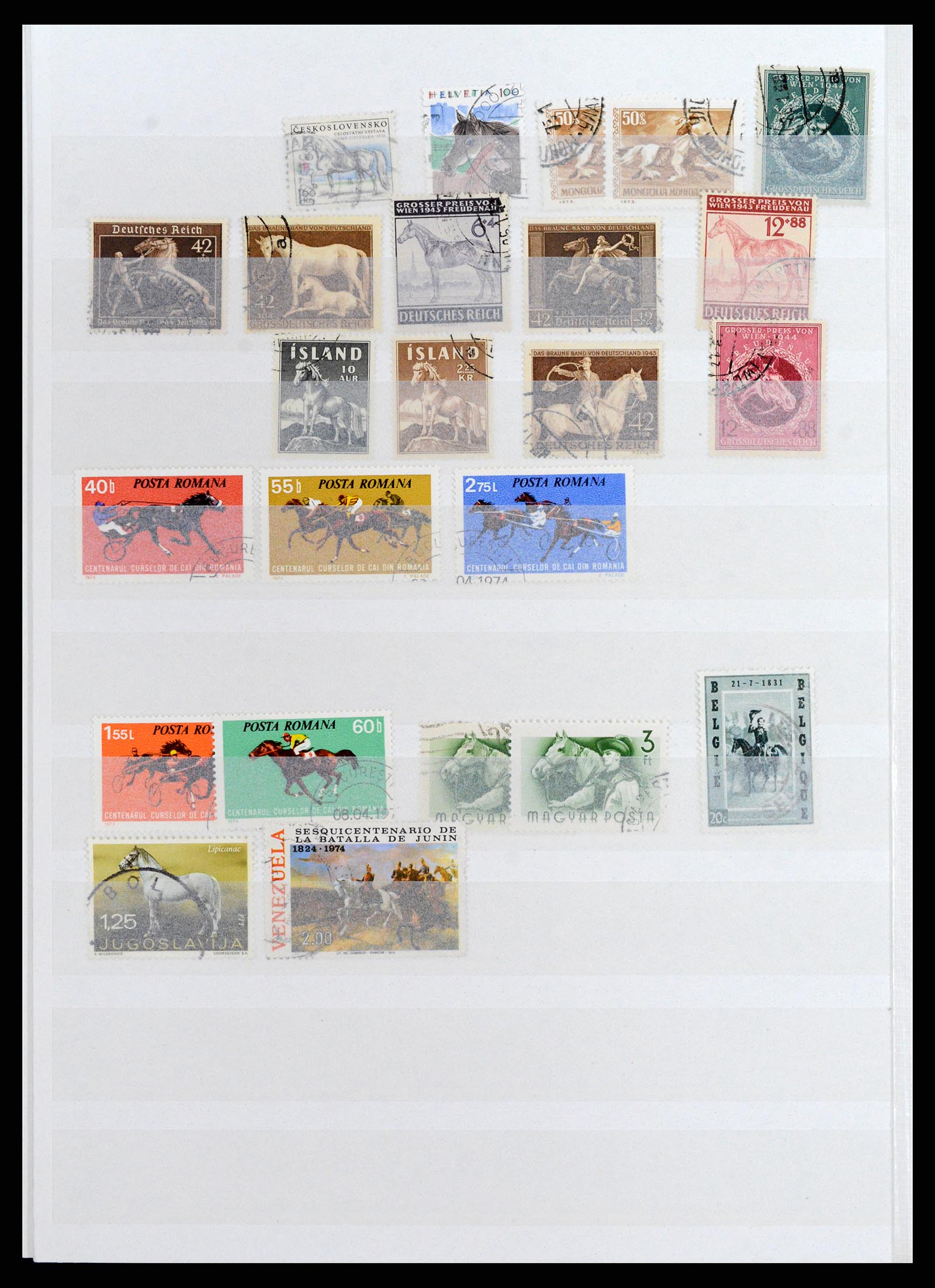 37671 020 - Postzegelverzameling 37671 Motief honden 1950-2010.