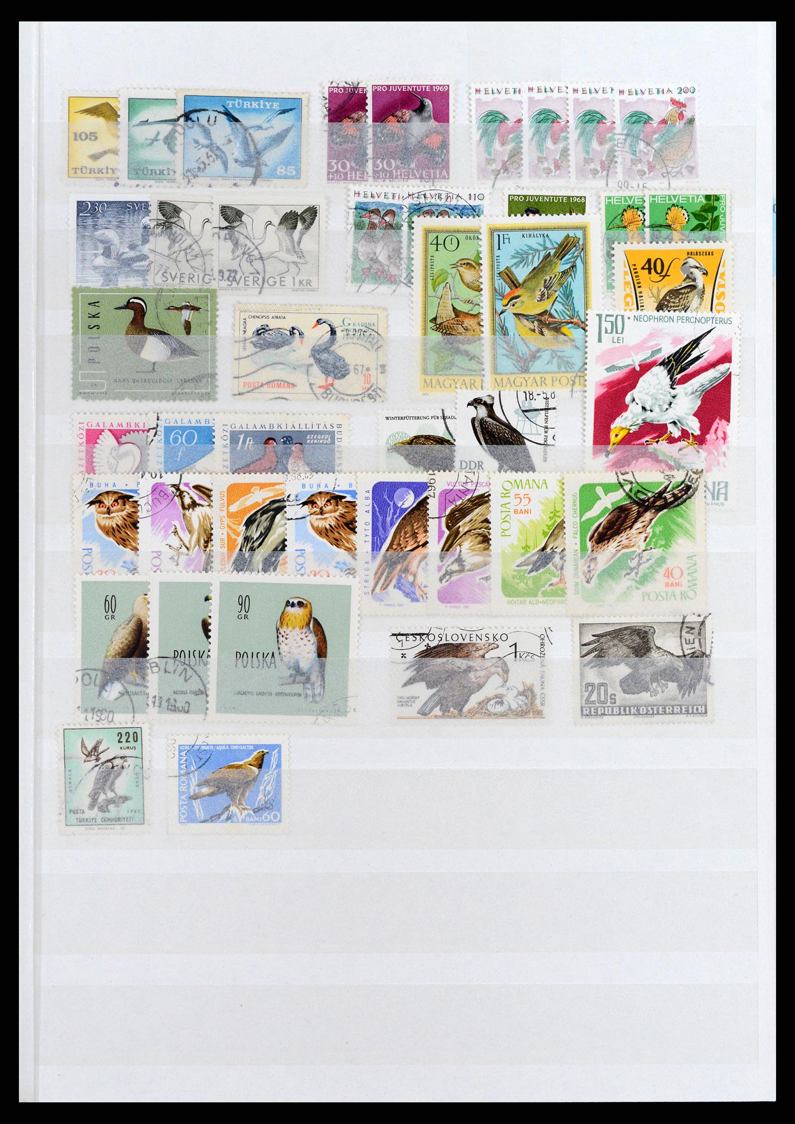37671 022 - Stamp collection 37671 Thematics dogs 1950-2010.