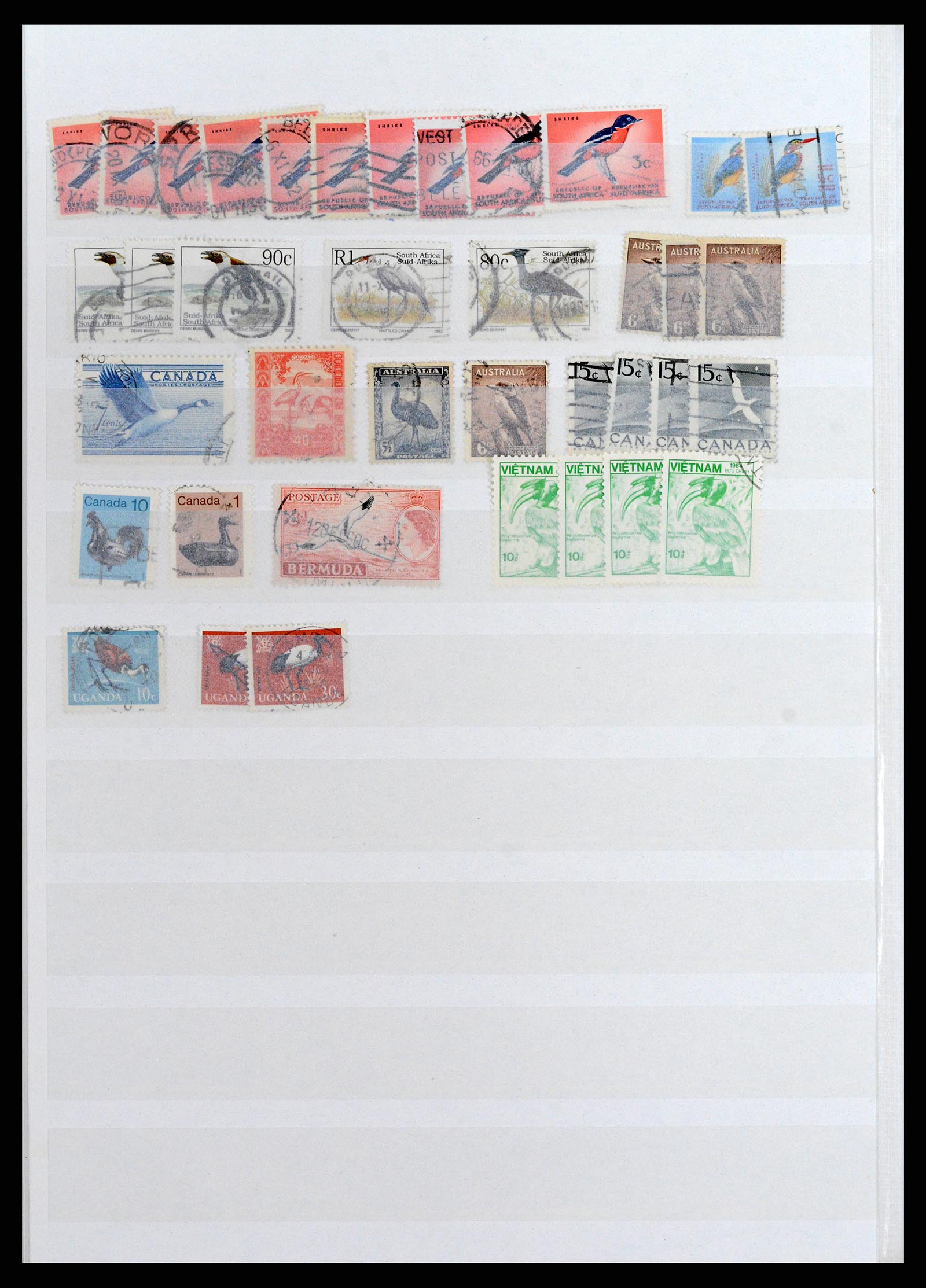 37671 023 - Stamp collection 37671 Thematics dogs 1950-2010.