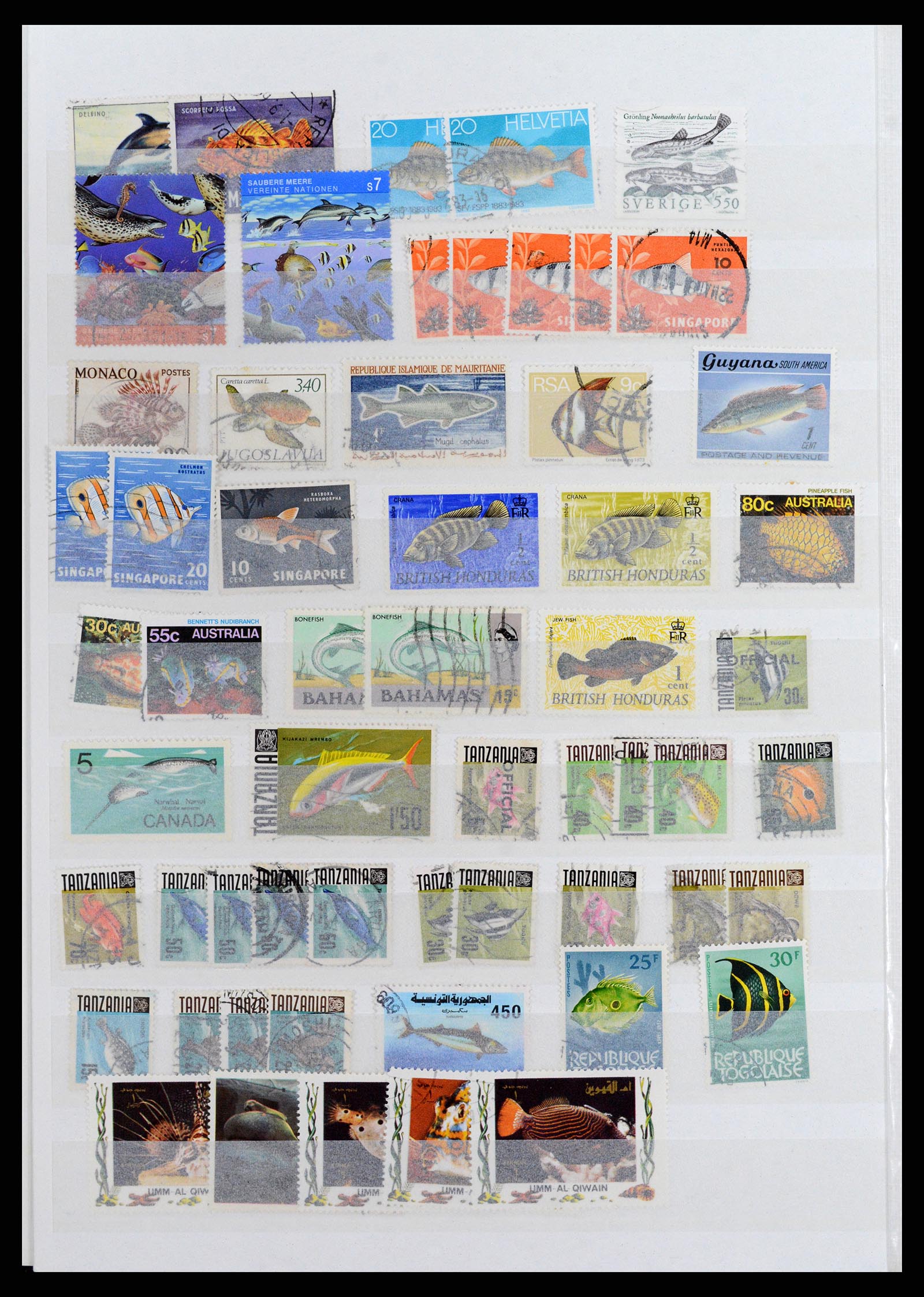 37671 025 - Stamp collection 37671 Thematics dogs 1950-2010.