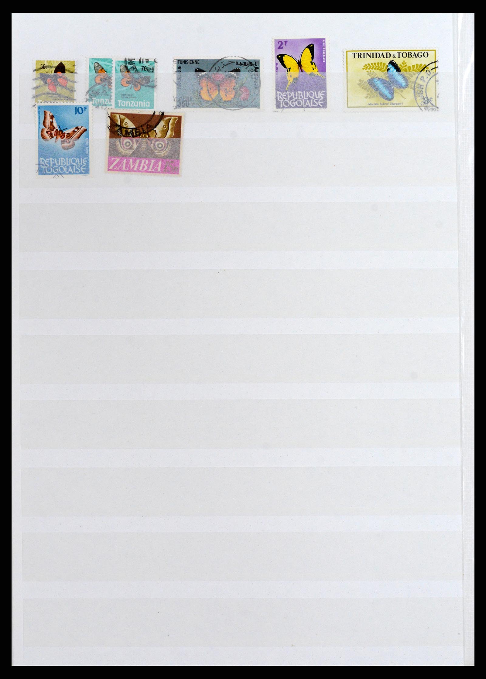 37671 027 - Stamp collection 37671 Thematics dogs 1950-2010.
