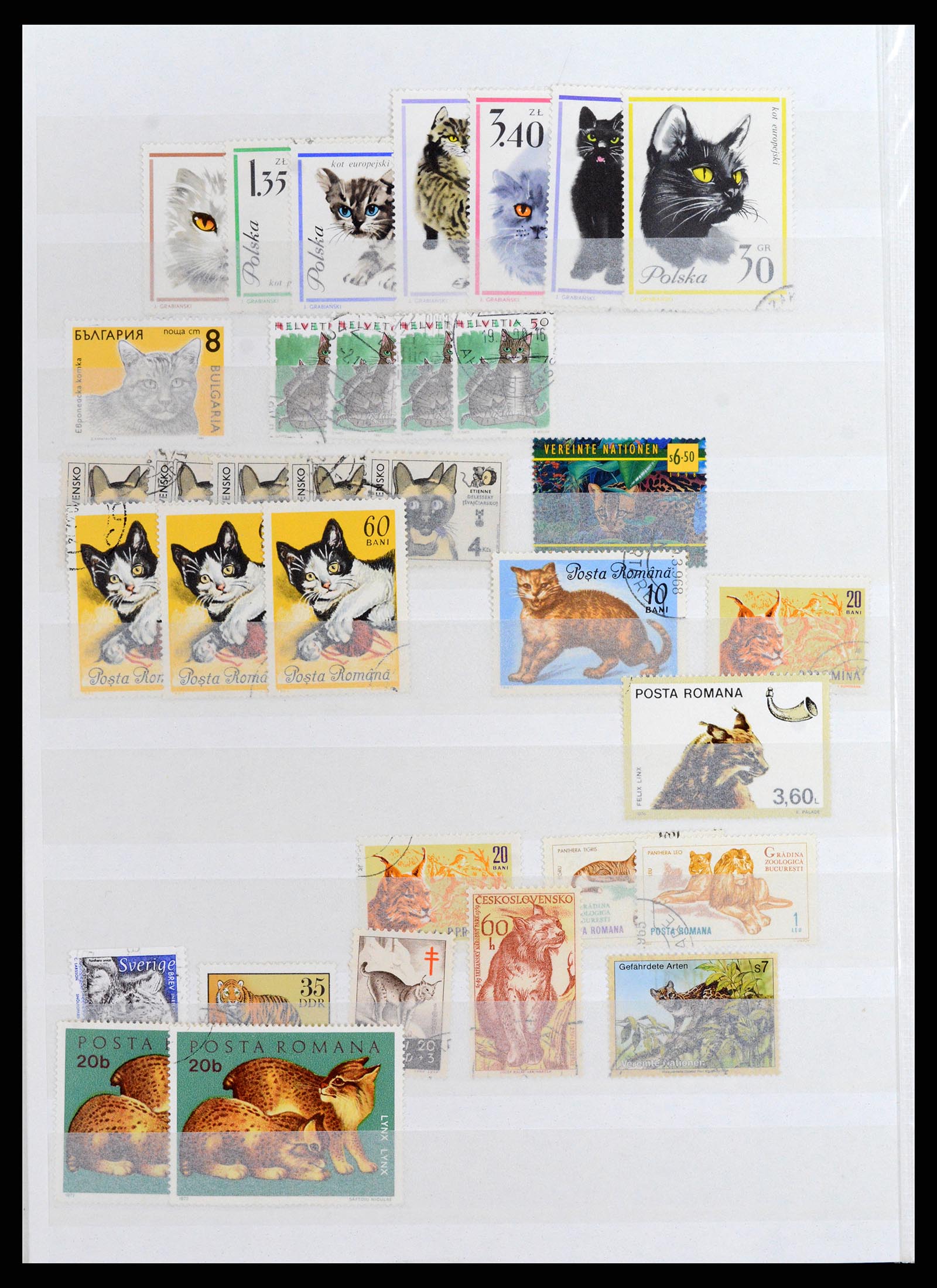 37671 030 - Stamp collection 37671 Thematics dogs 1950-2010.