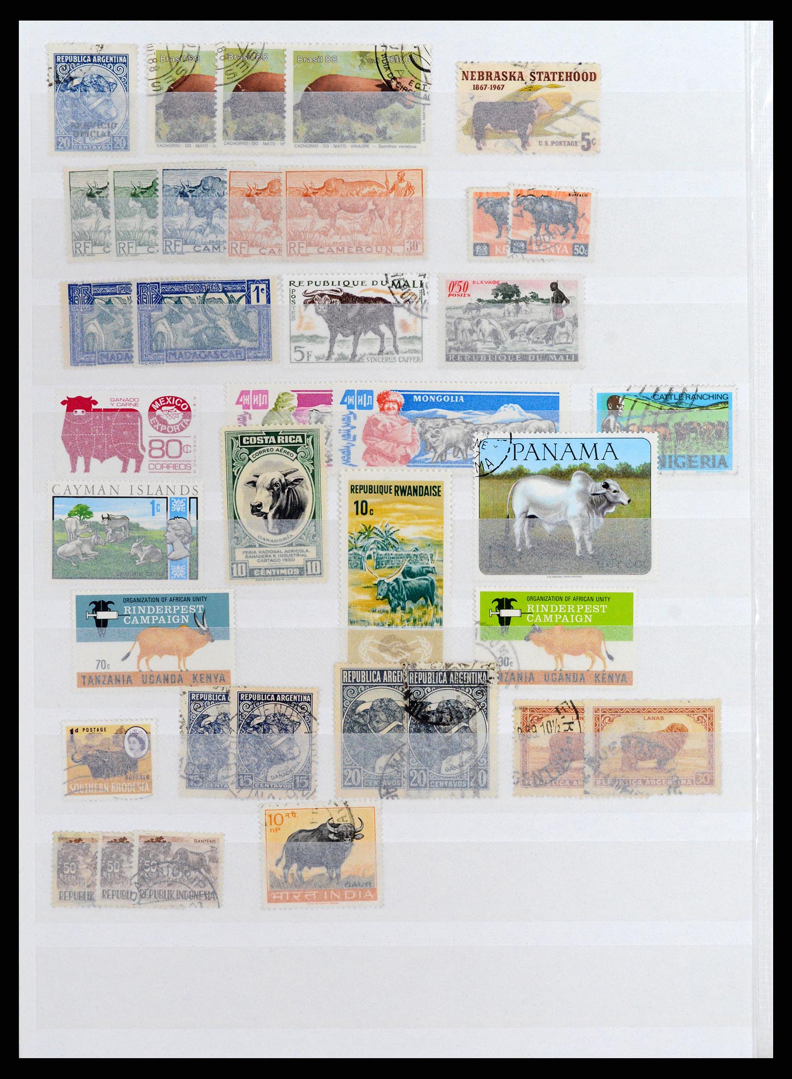 37671 032 - Stamp collection 37671 Thematics dogs 1950-2010.