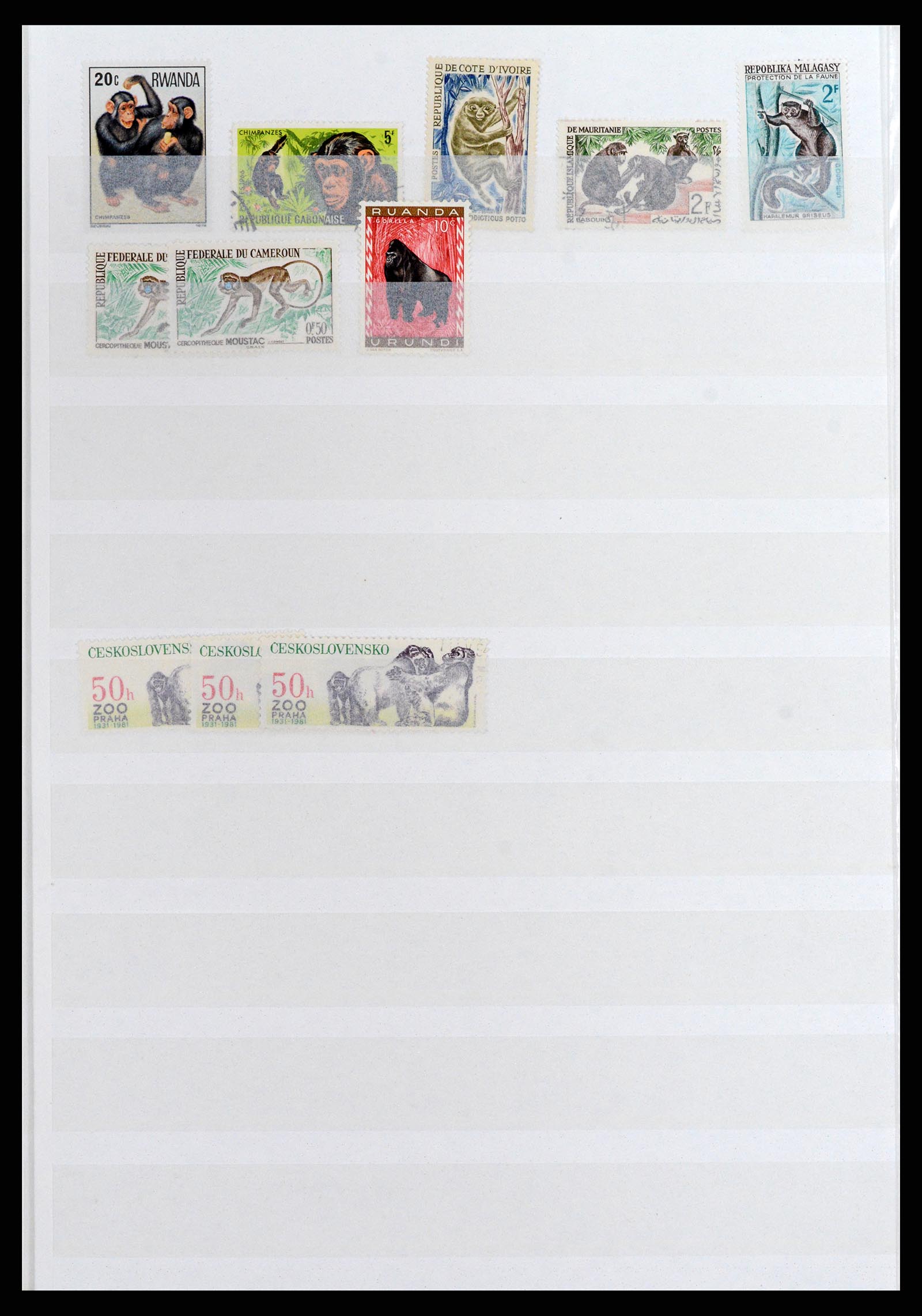 37671 034 - Stamp collection 37671 Thematics dogs 1950-2010.