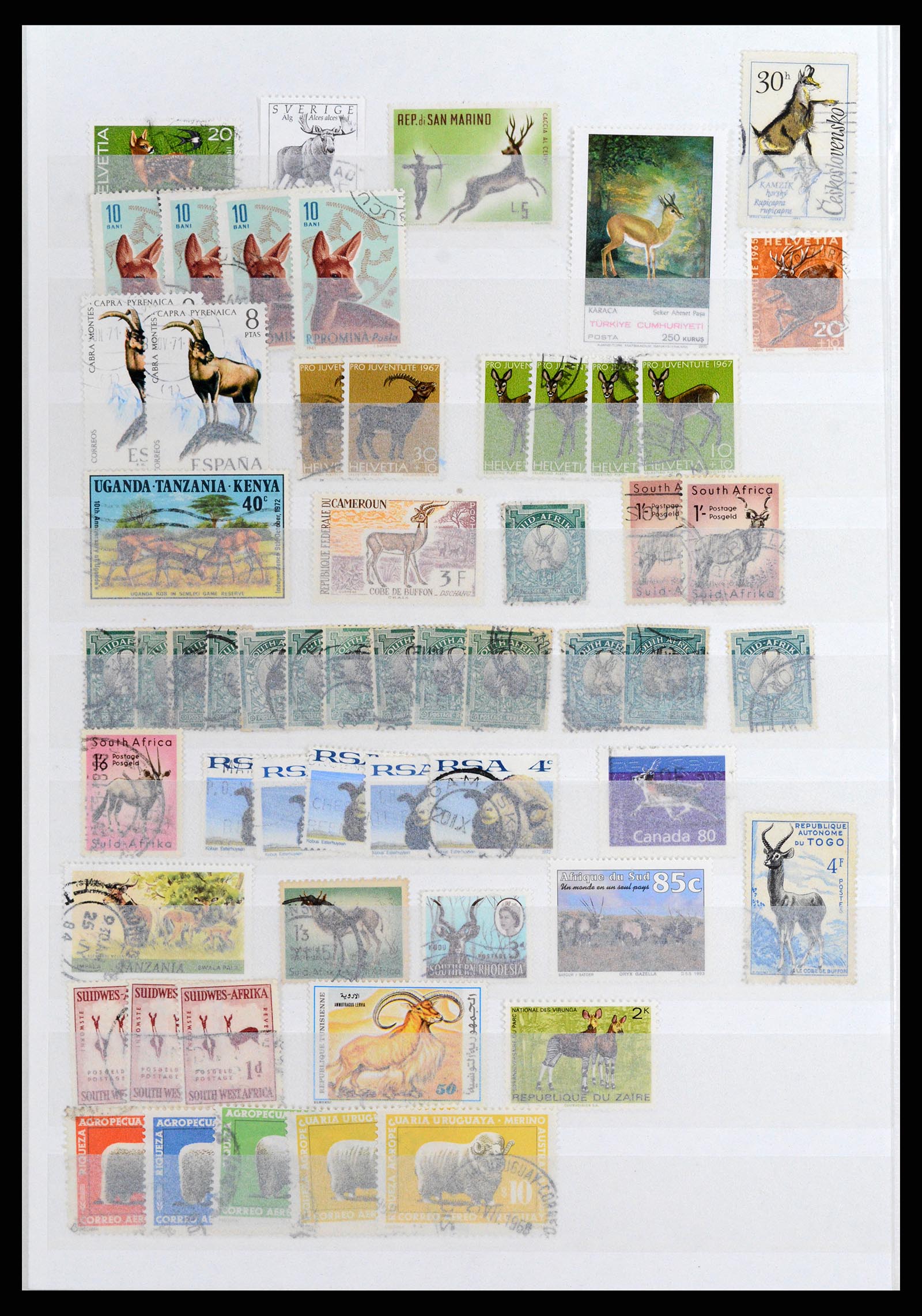 37671 036 - Stamp collection 37671 Thematics dogs 1950-2010.