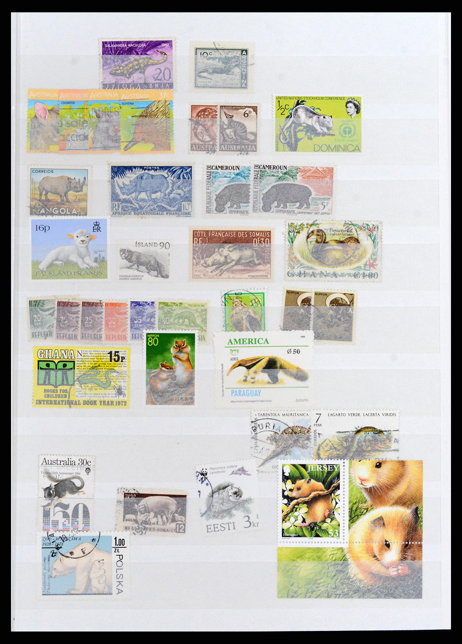 37671 038 - Stamp collection 37671 Thematics dogs 1950-2010.