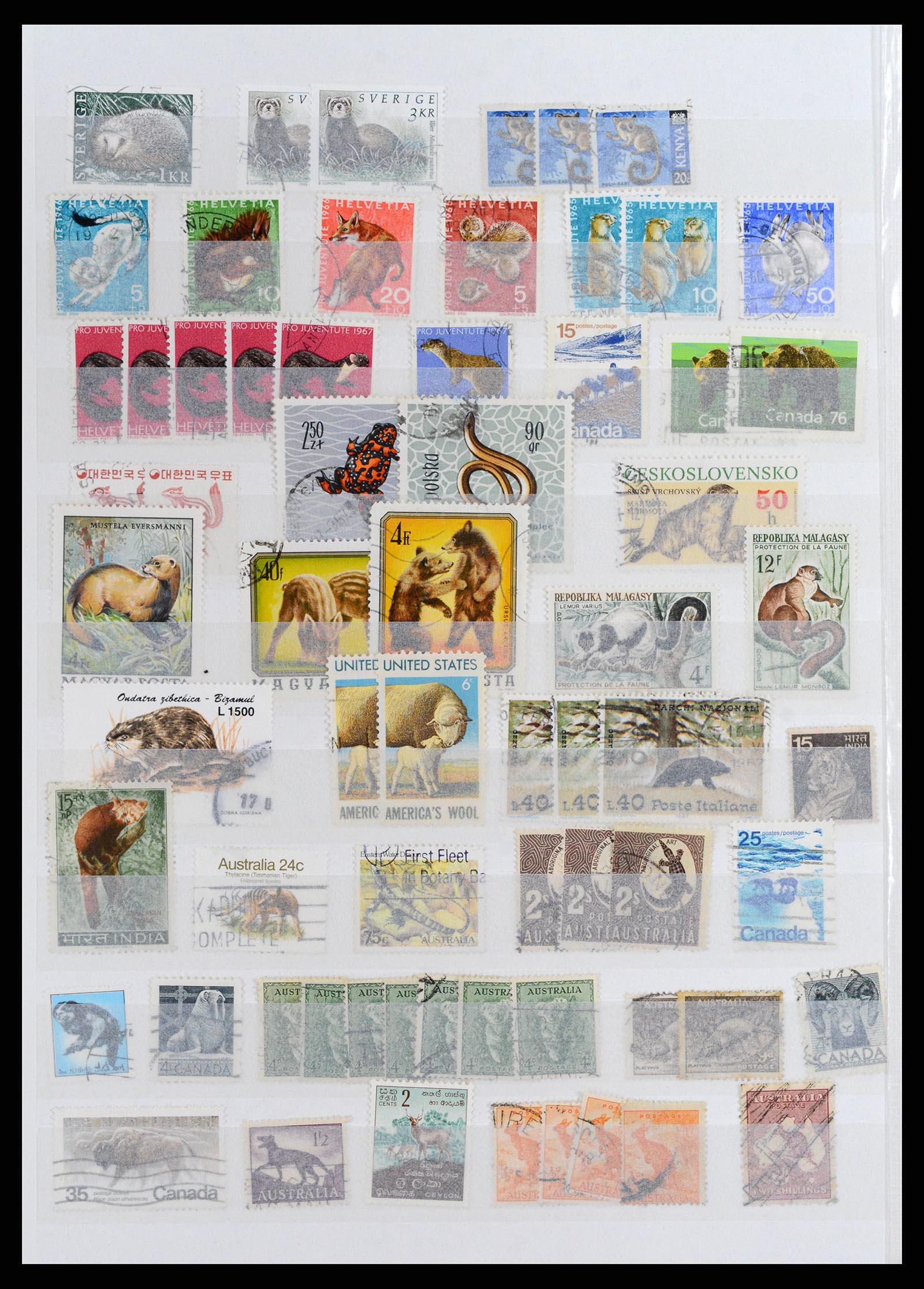 37671 039 - Stamp collection 37671 Thematics dogs 1950-2010.
