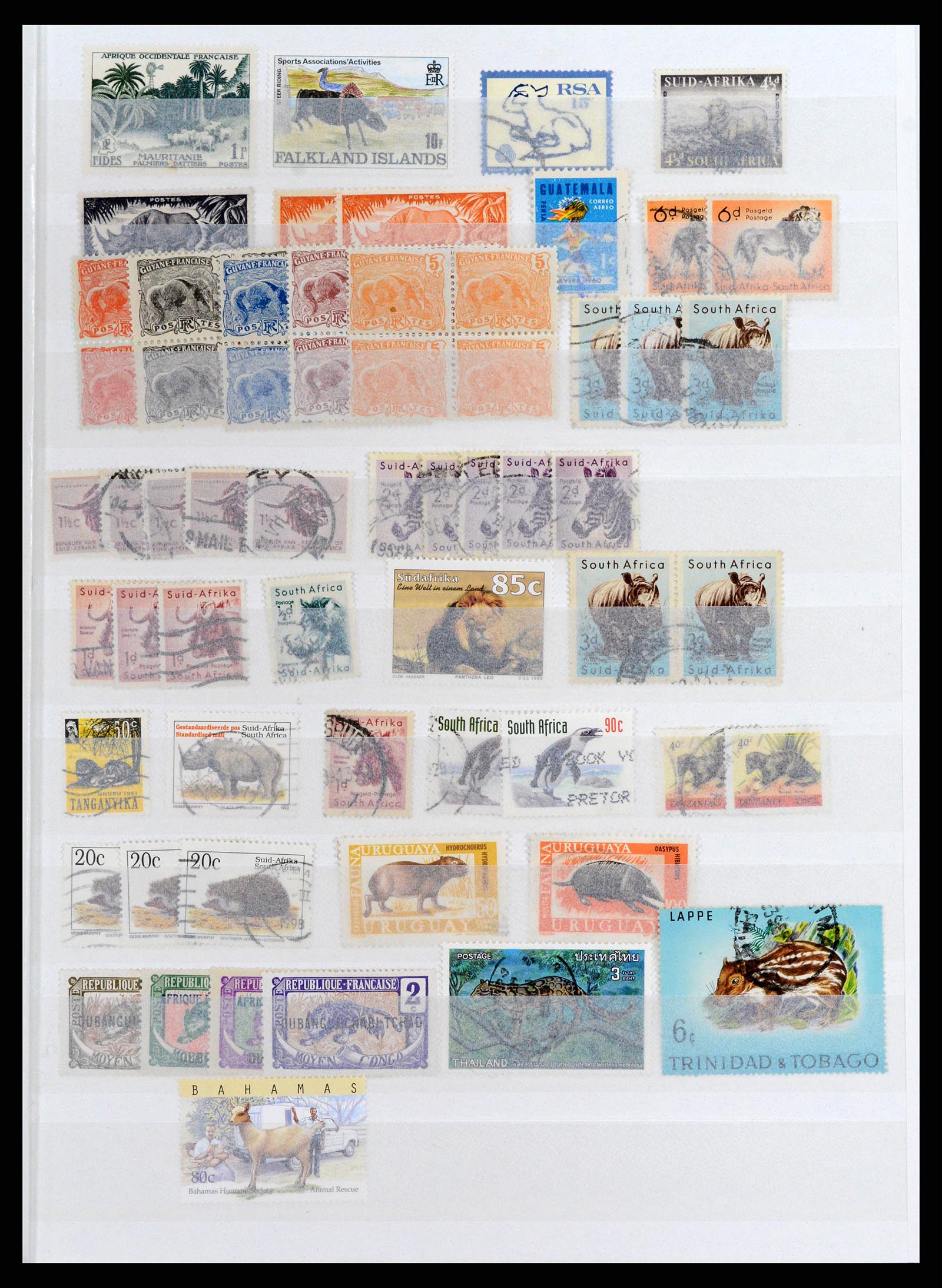 37671 040 - Stamp collection 37671 Thematics dogs 1950-2010.