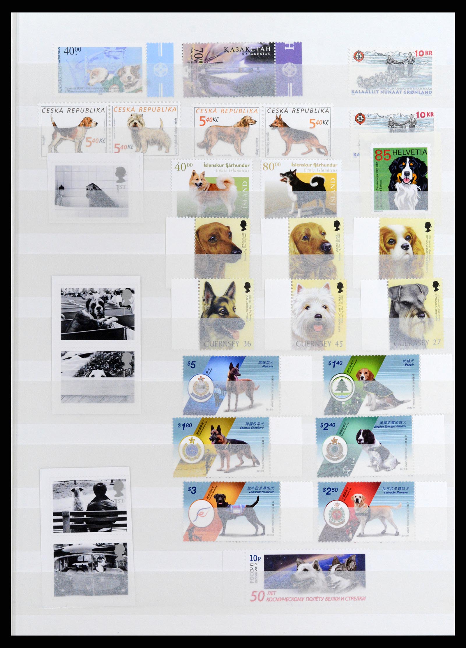 37671 041 - Postzegelverzameling 37671 Motief honden 1950-2010.