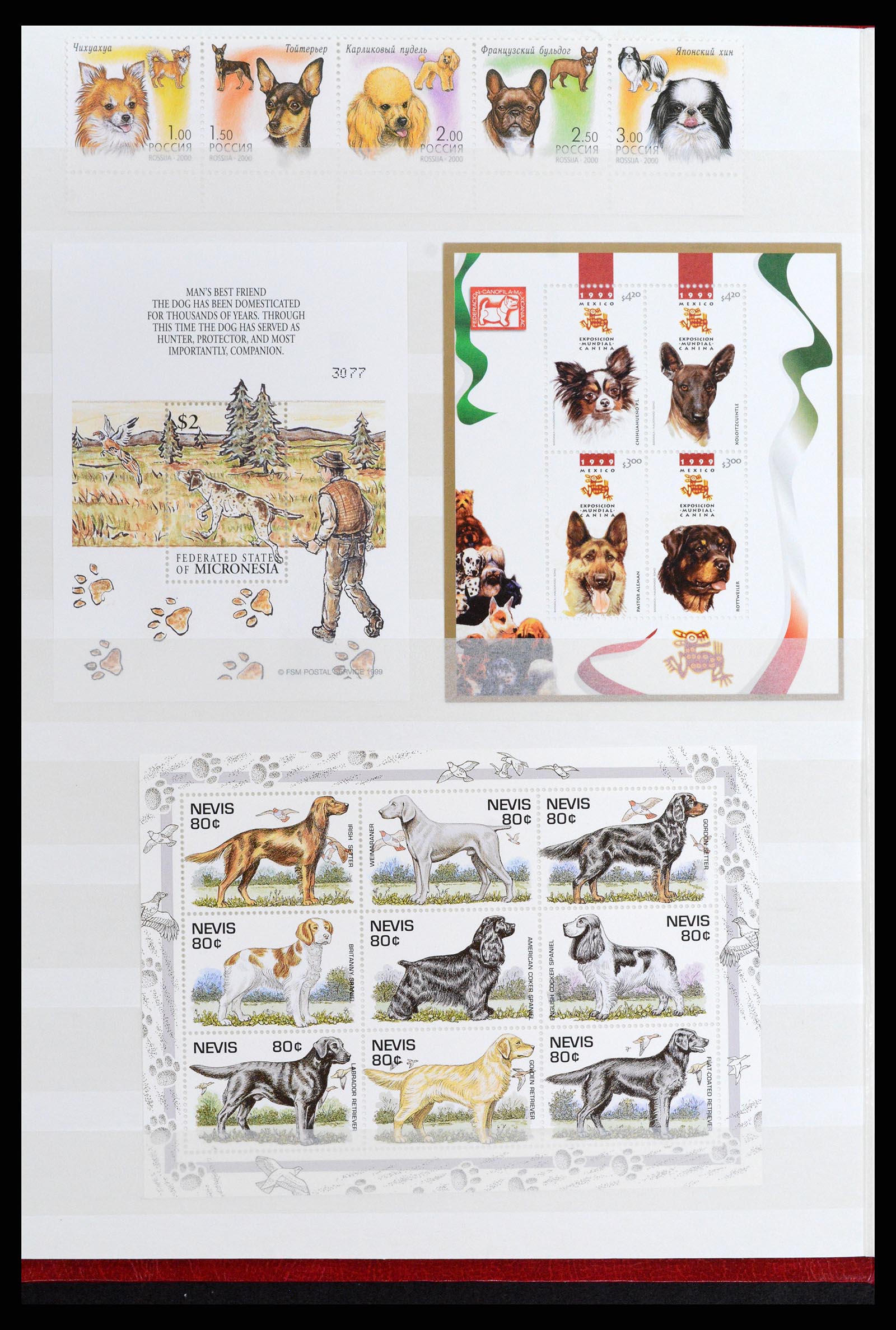 37671 042 - Postzegelverzameling 37671 Motief honden 1950-2010.