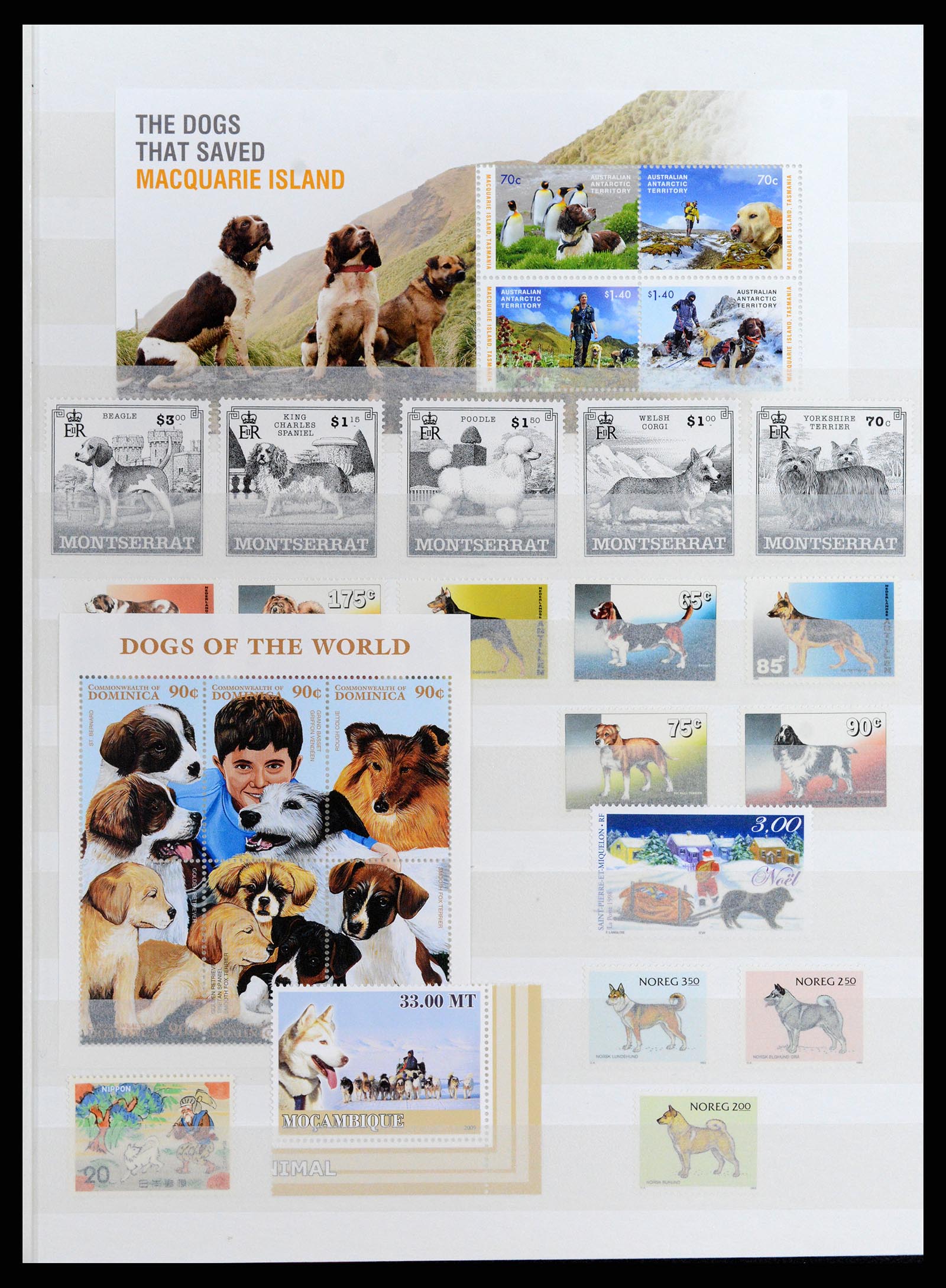 37671 043 - Postzegelverzameling 37671 Motief honden 1950-2010.