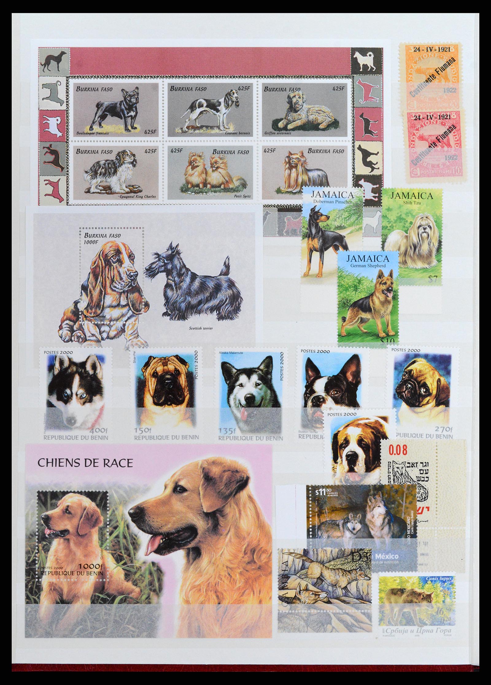 37671 052 - Postzegelverzameling 37671 Motief honden 1950-2010.
