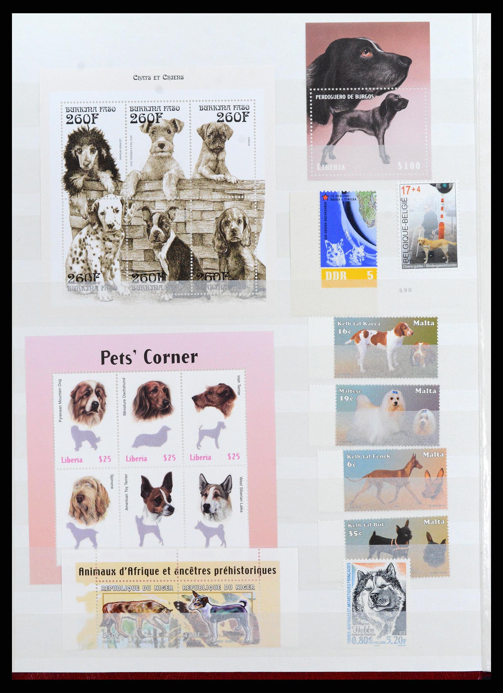 37671 054 - Postzegelverzameling 37671 Motief honden 1950-2010.