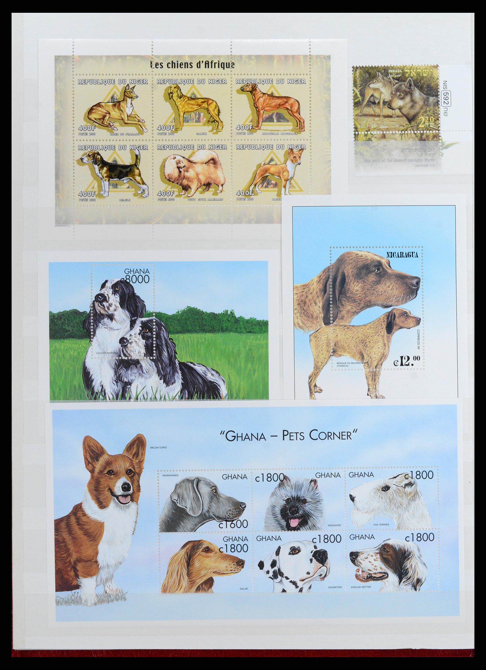 37671 056 - Postzegelverzameling 37671 Motief honden 1950-2010.