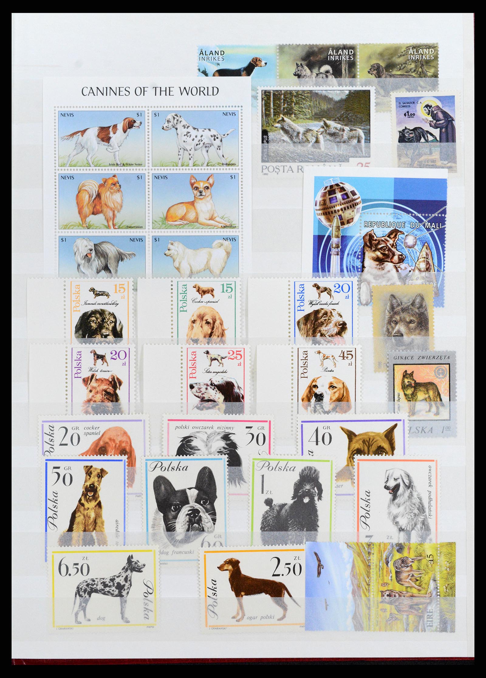 37671 057 - Postzegelverzameling 37671 Motief honden 1950-2010.