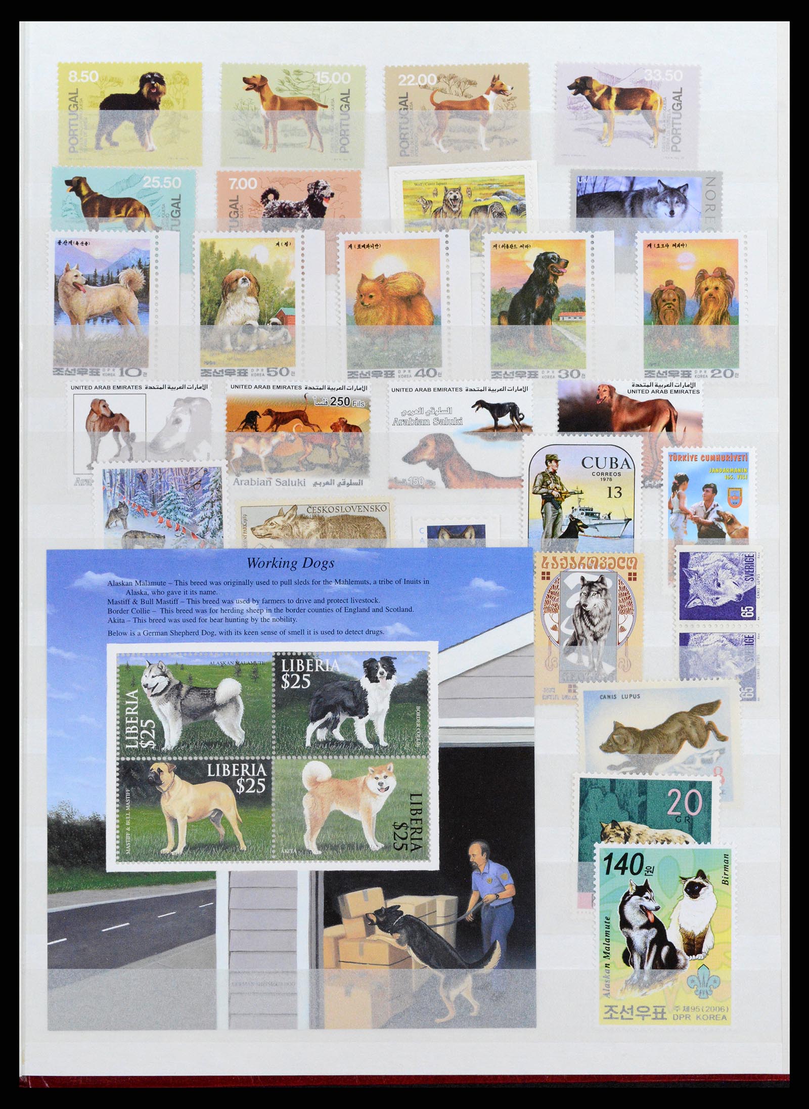 37671 059 - Postzegelverzameling 37671 Motief honden 1950-2010.