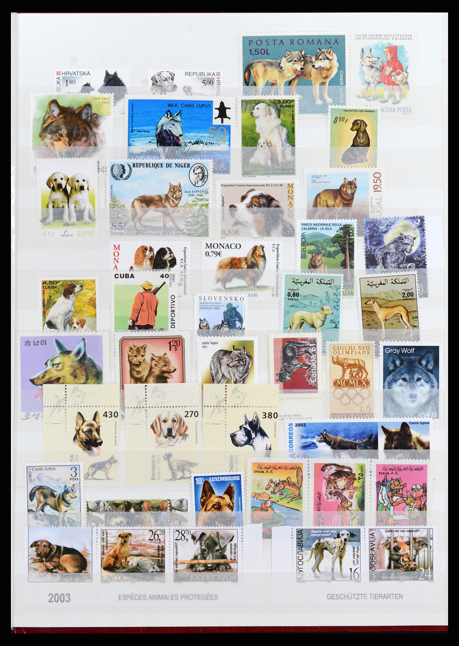 37671 061 - Stamp collection 37671 Thematics dogs 1950-2010.