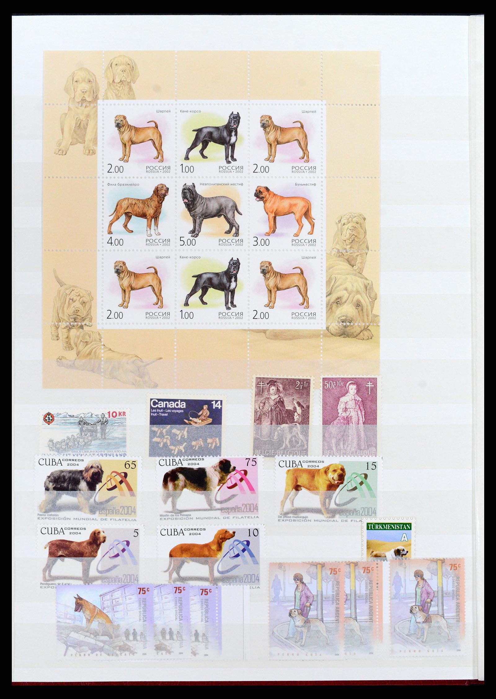 37671 062 - Stamp collection 37671 Thematics dogs 1950-2010.