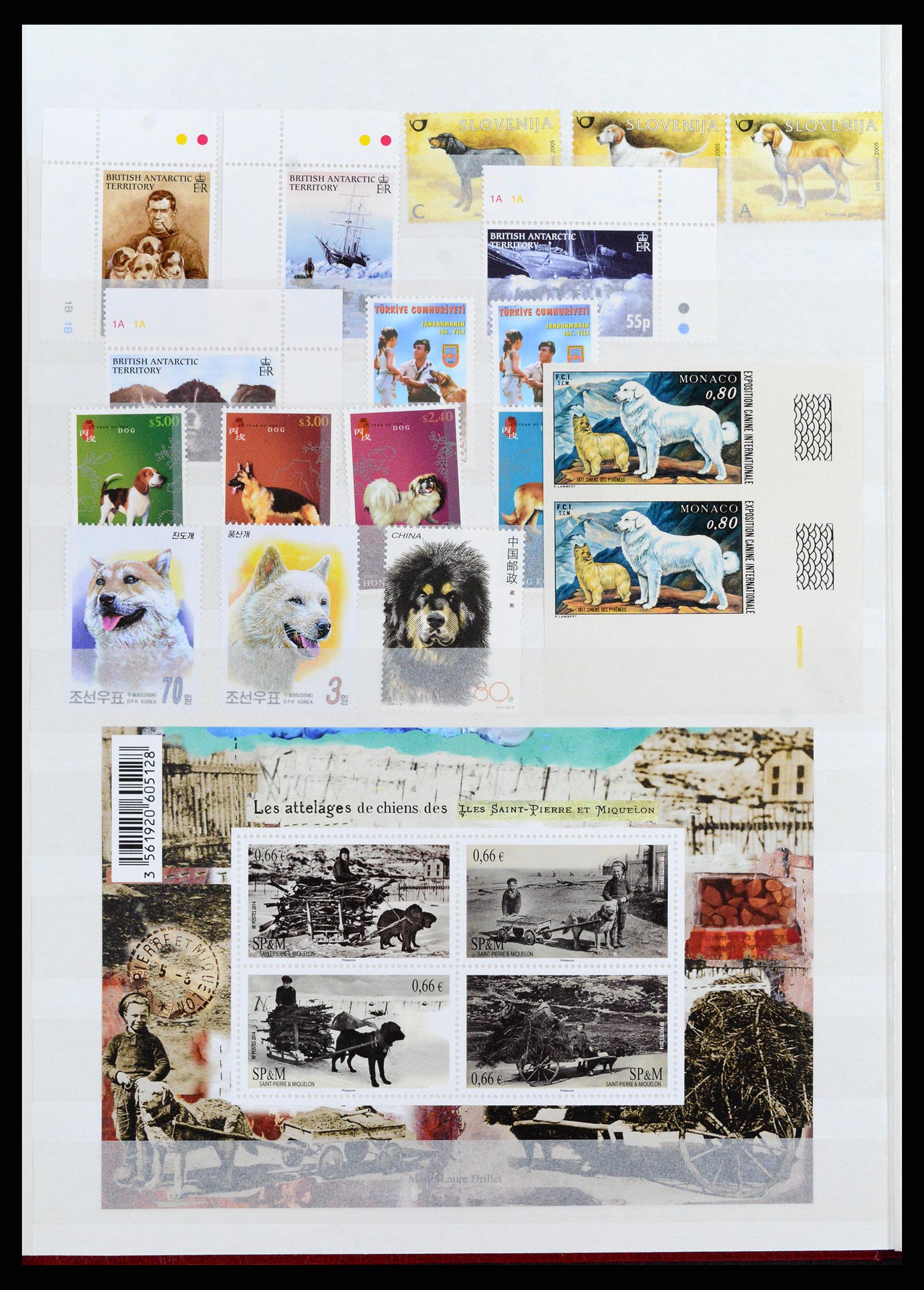 37671 064 - Stamp collection 37671 Thematics dogs 1950-2010.