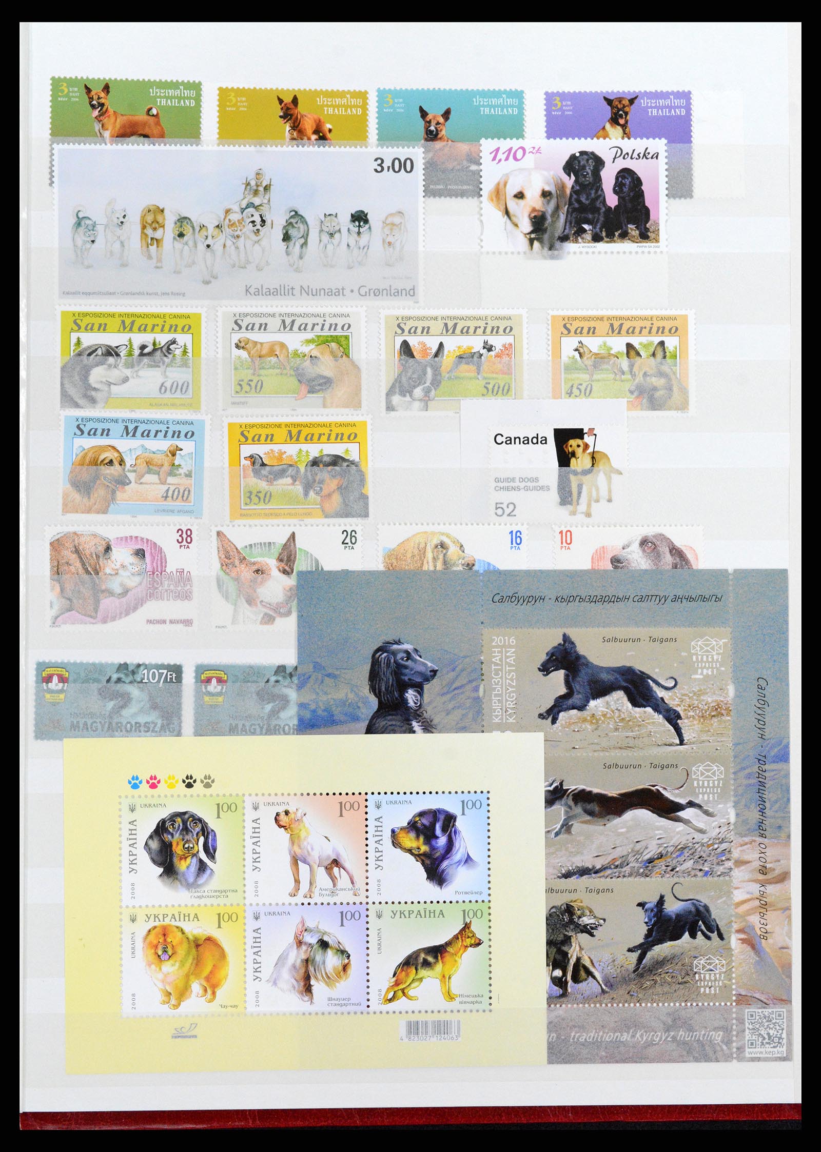 37671 069 - Stamp collection 37671 Thematics dogs 1950-2010.