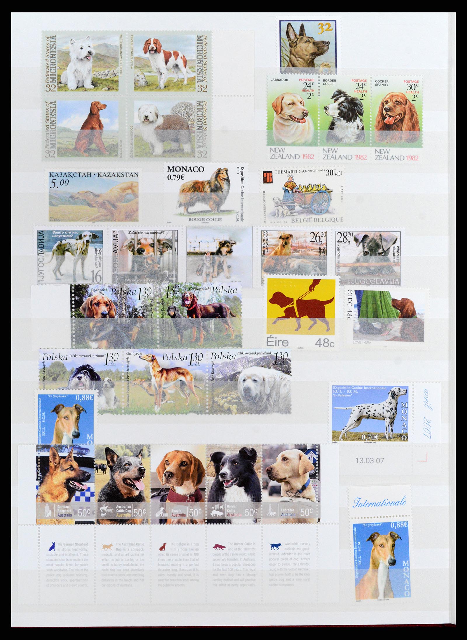 37671 070 - Stamp collection 37671 Thematics dogs 1950-2010.