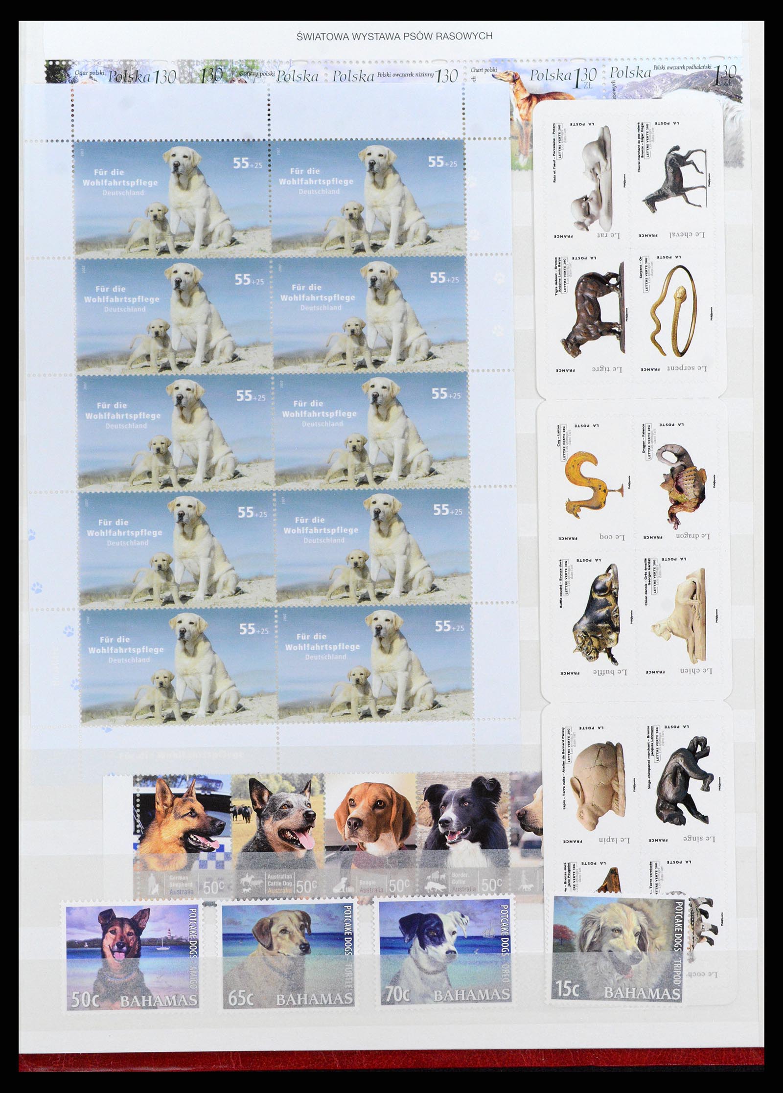 37671 071 - Stamp collection 37671 Thematics dogs 1950-2010.