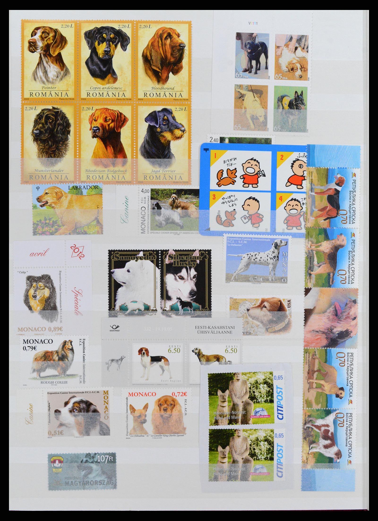 37671 072 - Stamp collection 37671 Thematics dogs 1950-2010.