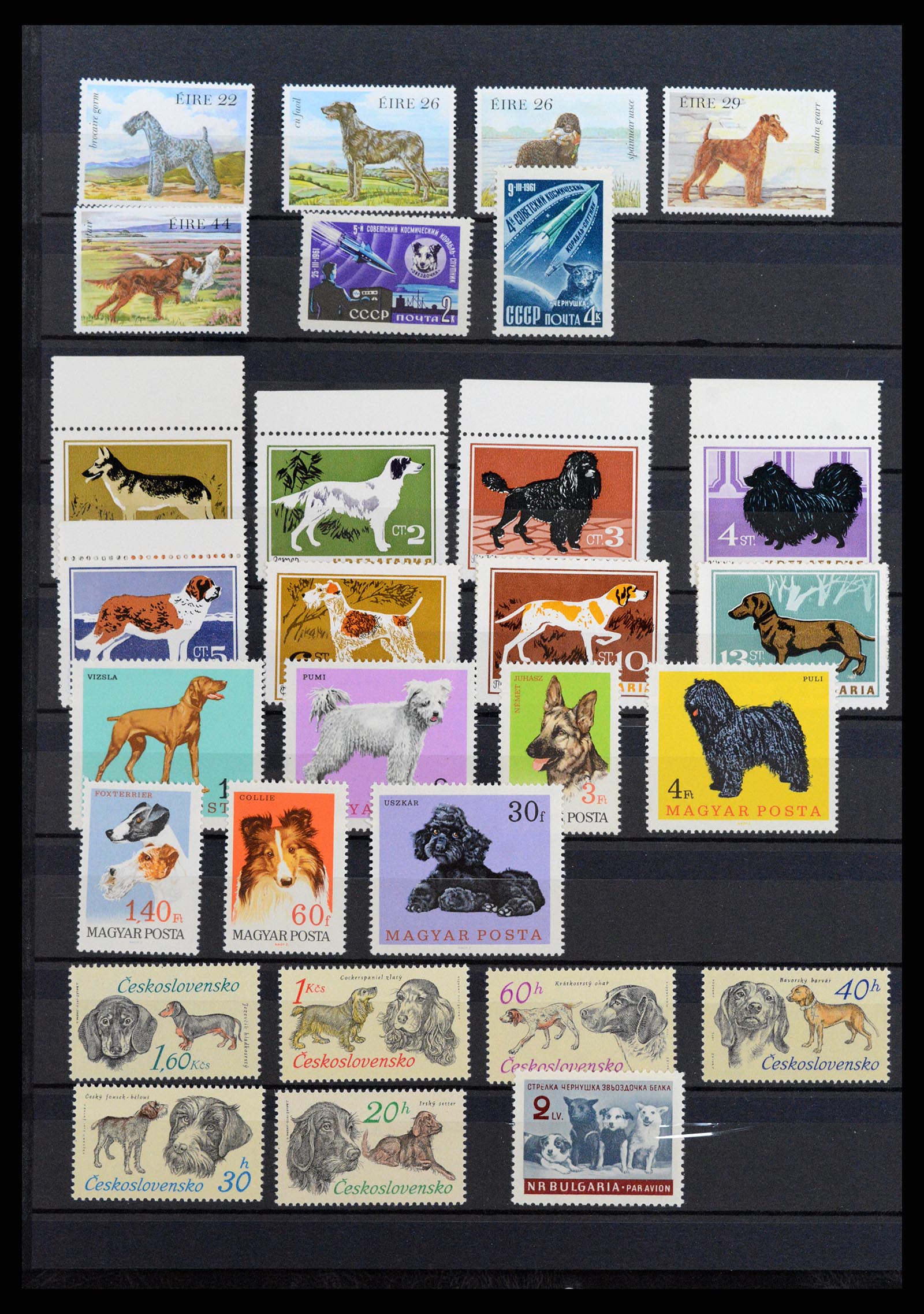 37671 074 - Stamp collection 37671 Thematics dogs 1950-2010.