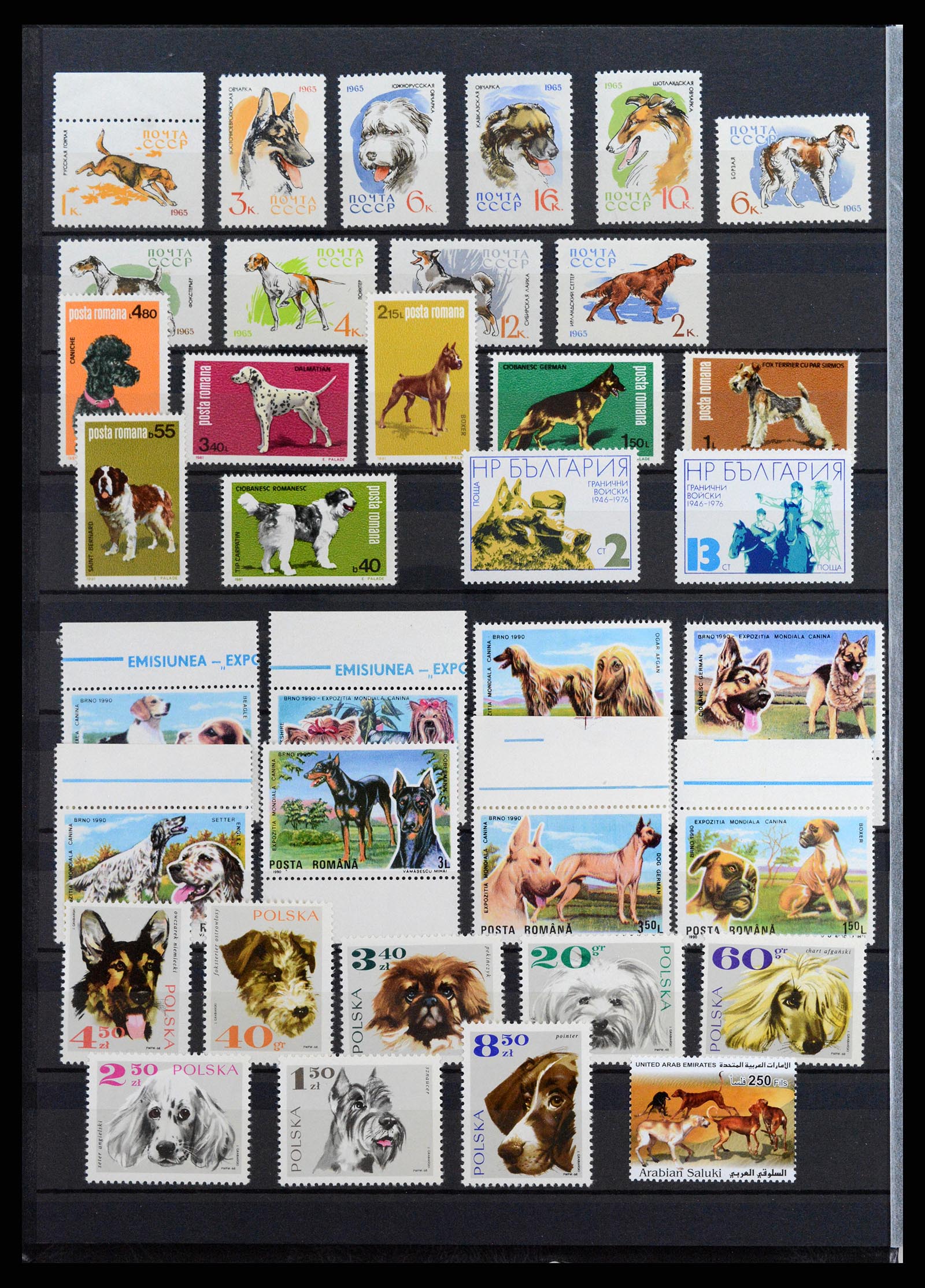 37671 076 - Stamp collection 37671 Thematics dogs 1950-2010.