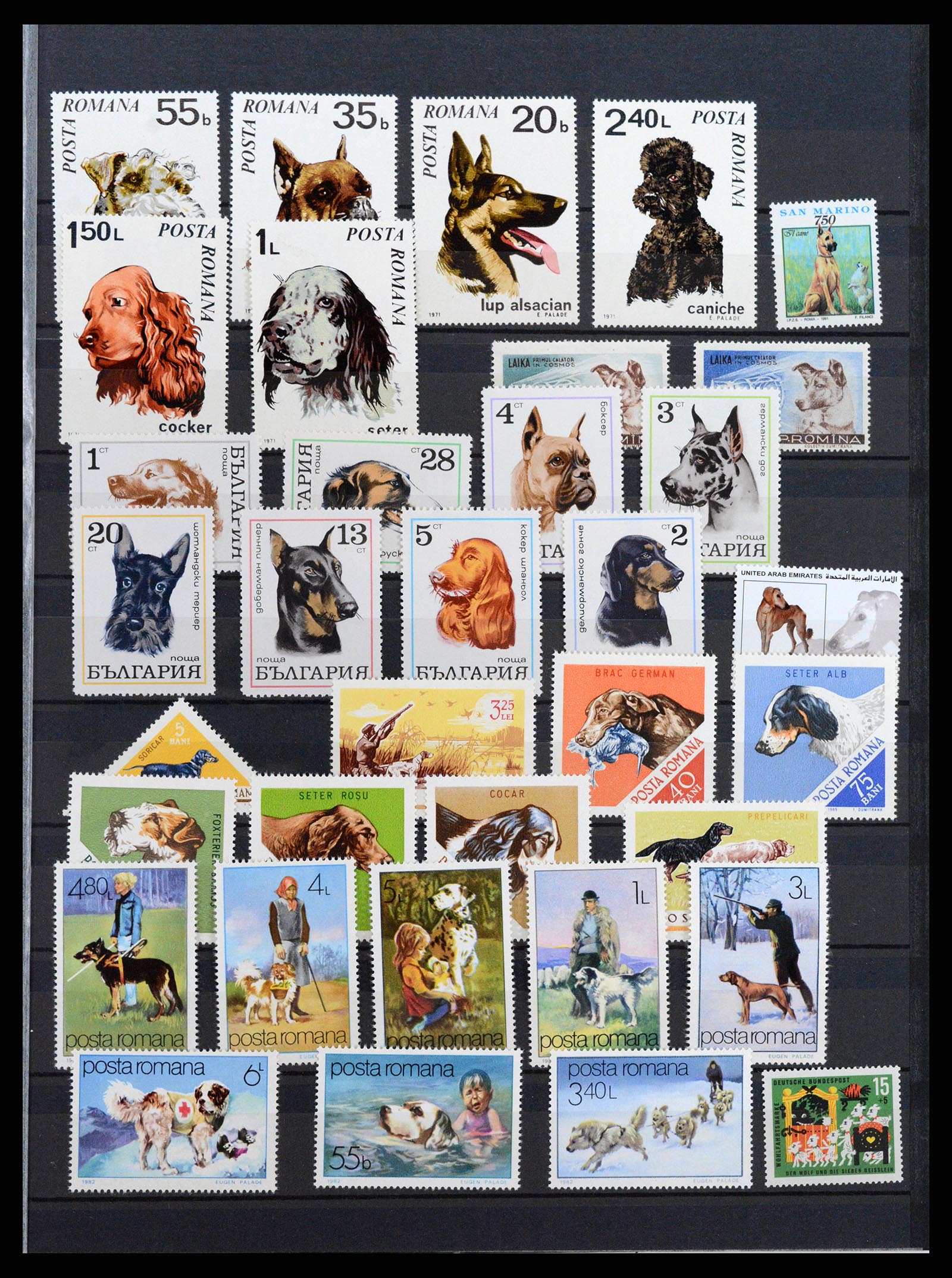 37671 077 - Stamp collection 37671 Thematics dogs 1950-2010.
