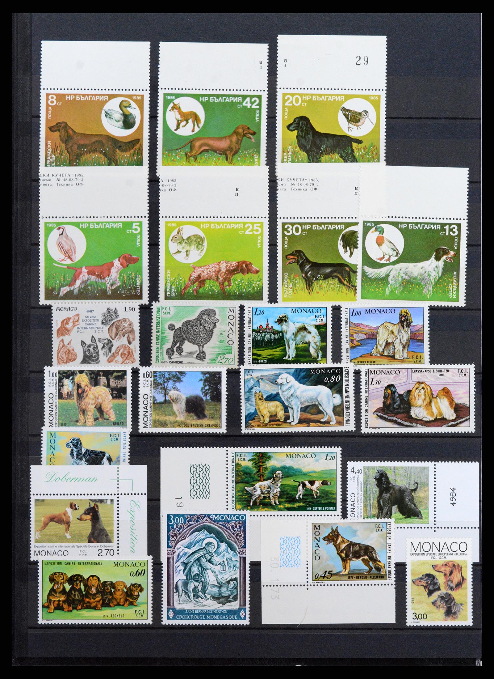 37671 078 - Stamp collection 37671 Thematics dogs 1950-2010.