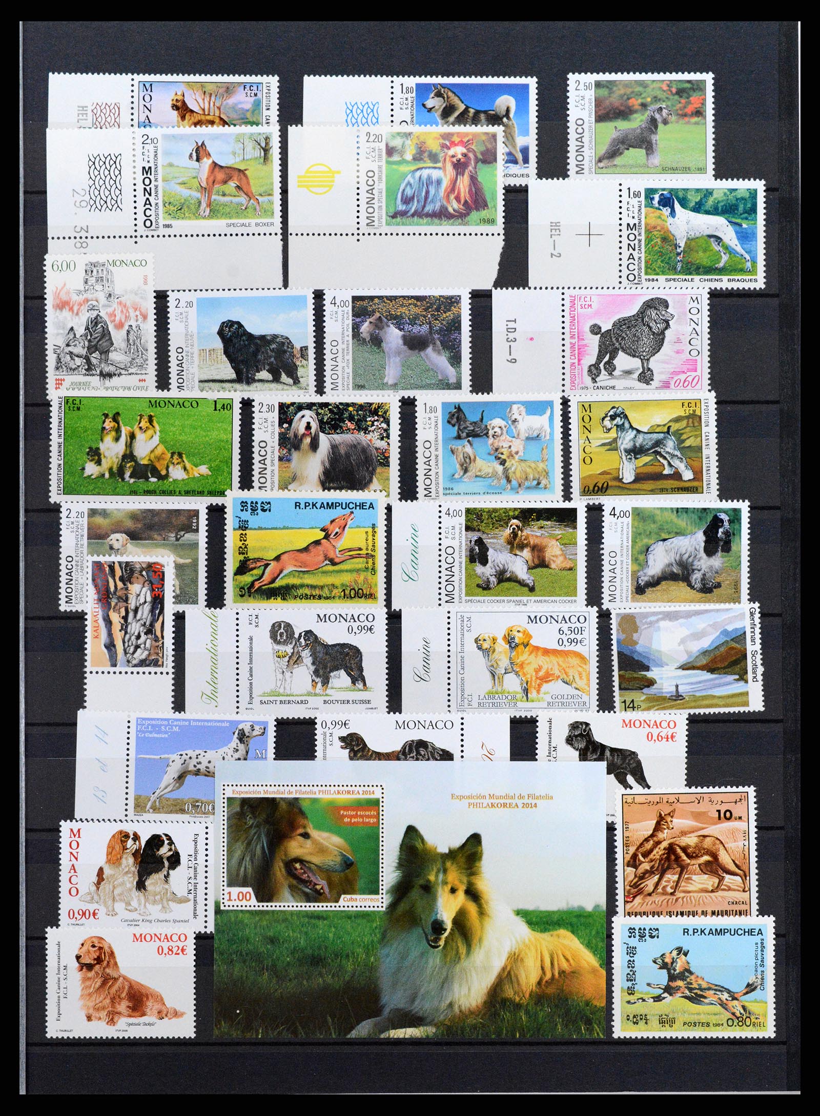 37671 079 - Stamp collection 37671 Thematics dogs 1950-2010.