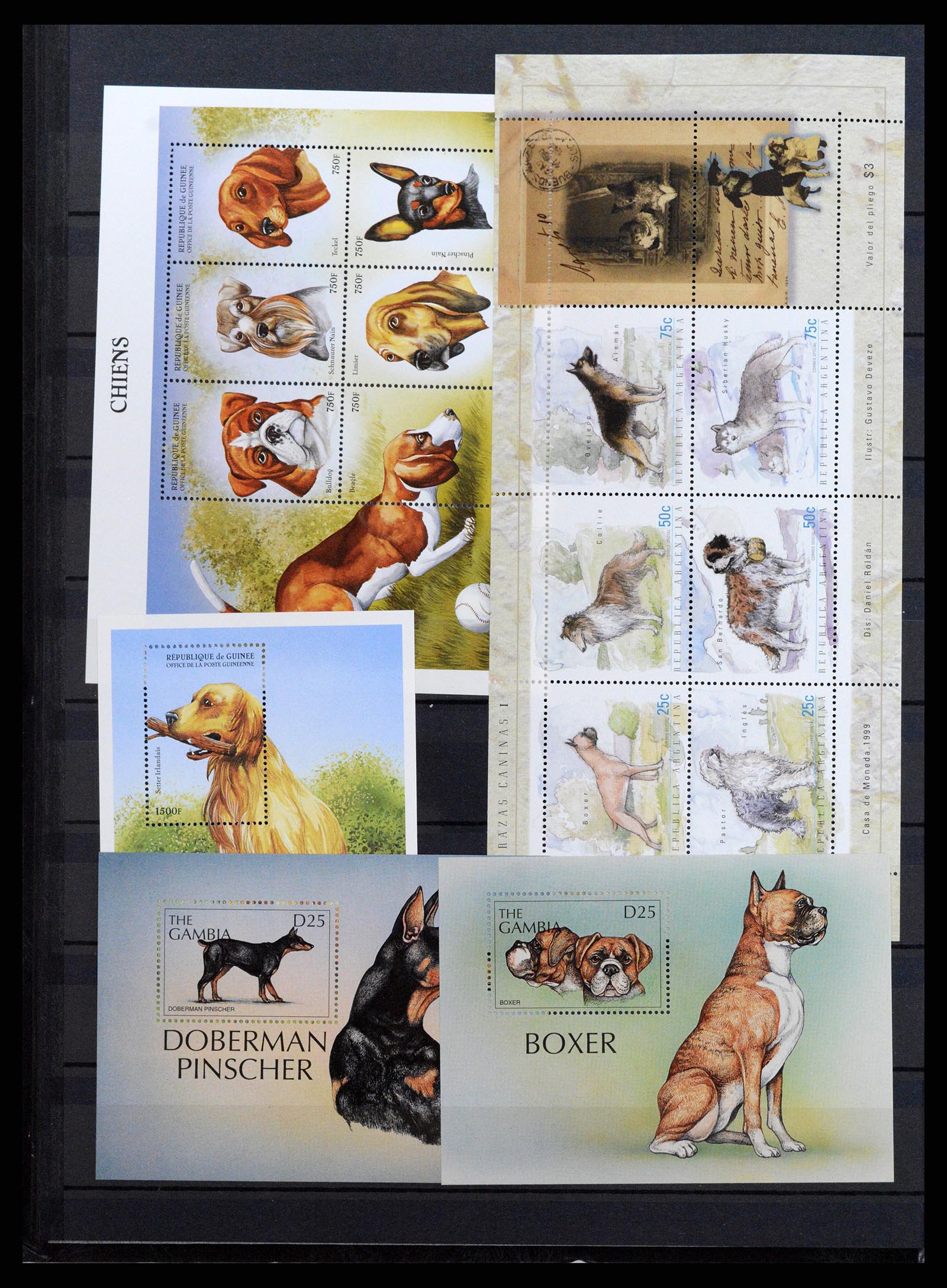 37671 080 - Stamp collection 37671 Thematics dogs 1950-2010.