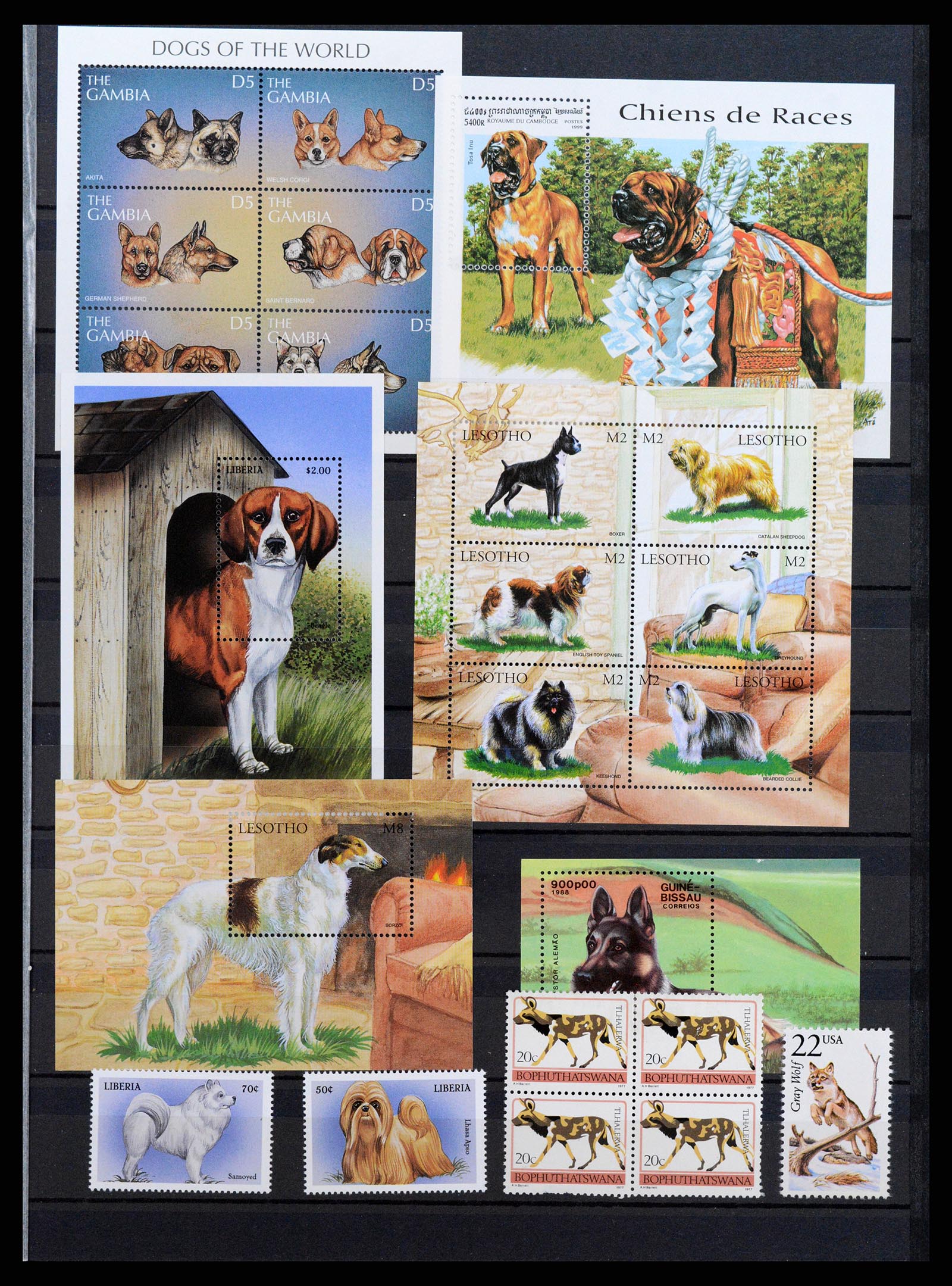 37671 081 - Stamp collection 37671 Thematics dogs 1950-2010.