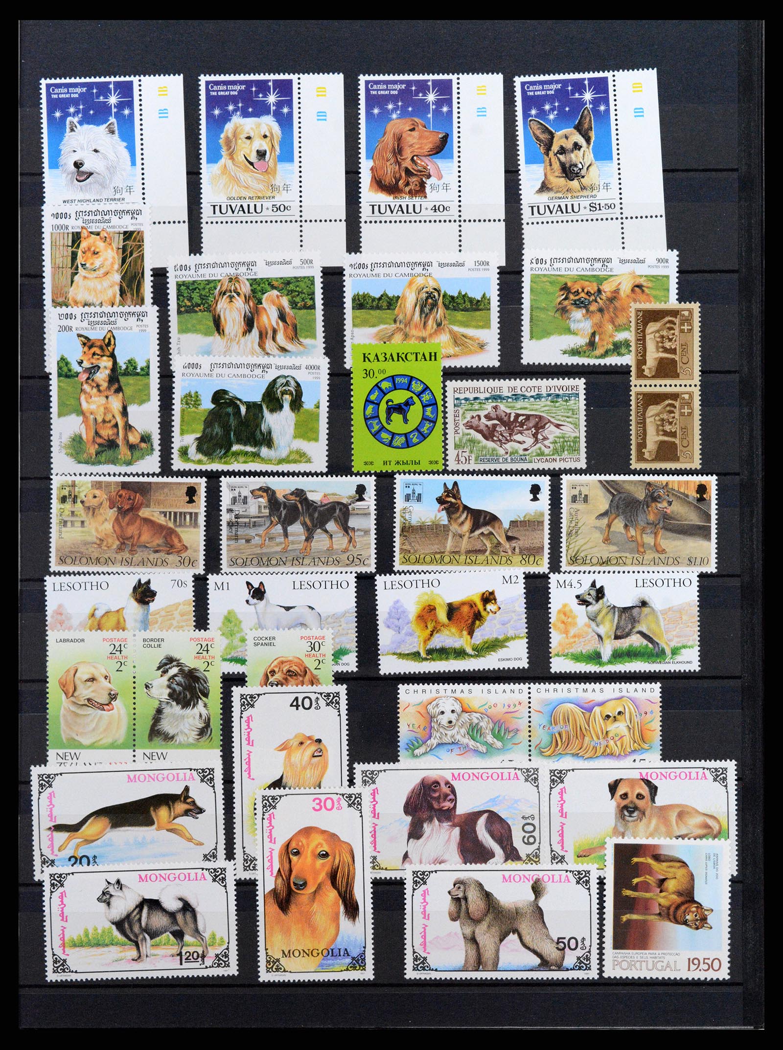 37671 083 - Stamp collection 37671 Thematics dogs 1950-2010.