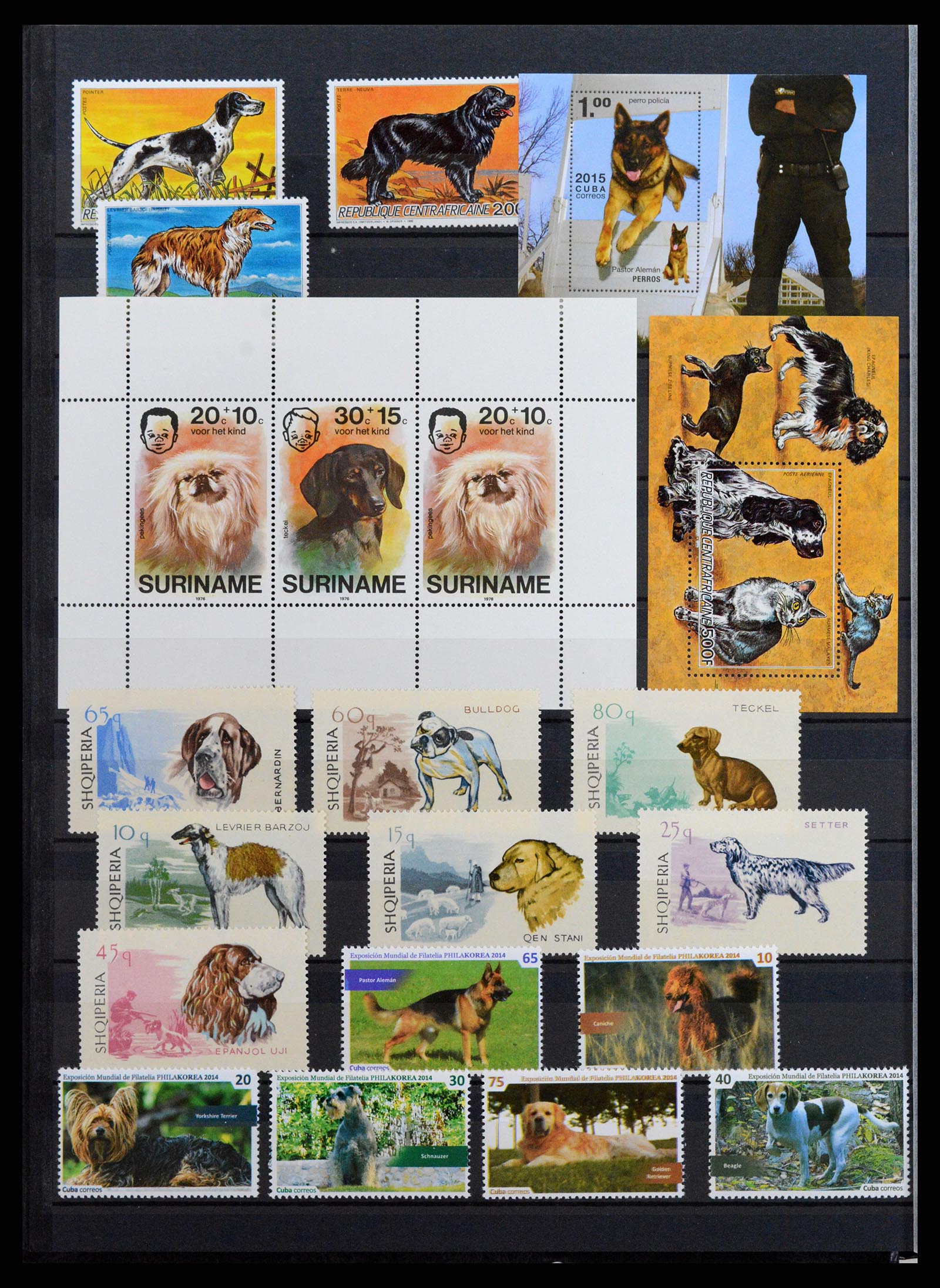 37671 084 - Stamp collection 37671 Thematics dogs 1950-2010.