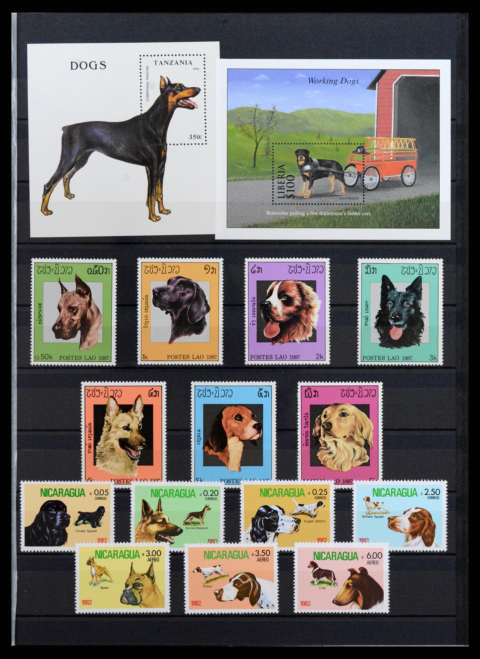 37671 085 - Stamp collection 37671 Thematics dogs 1950-2010.
