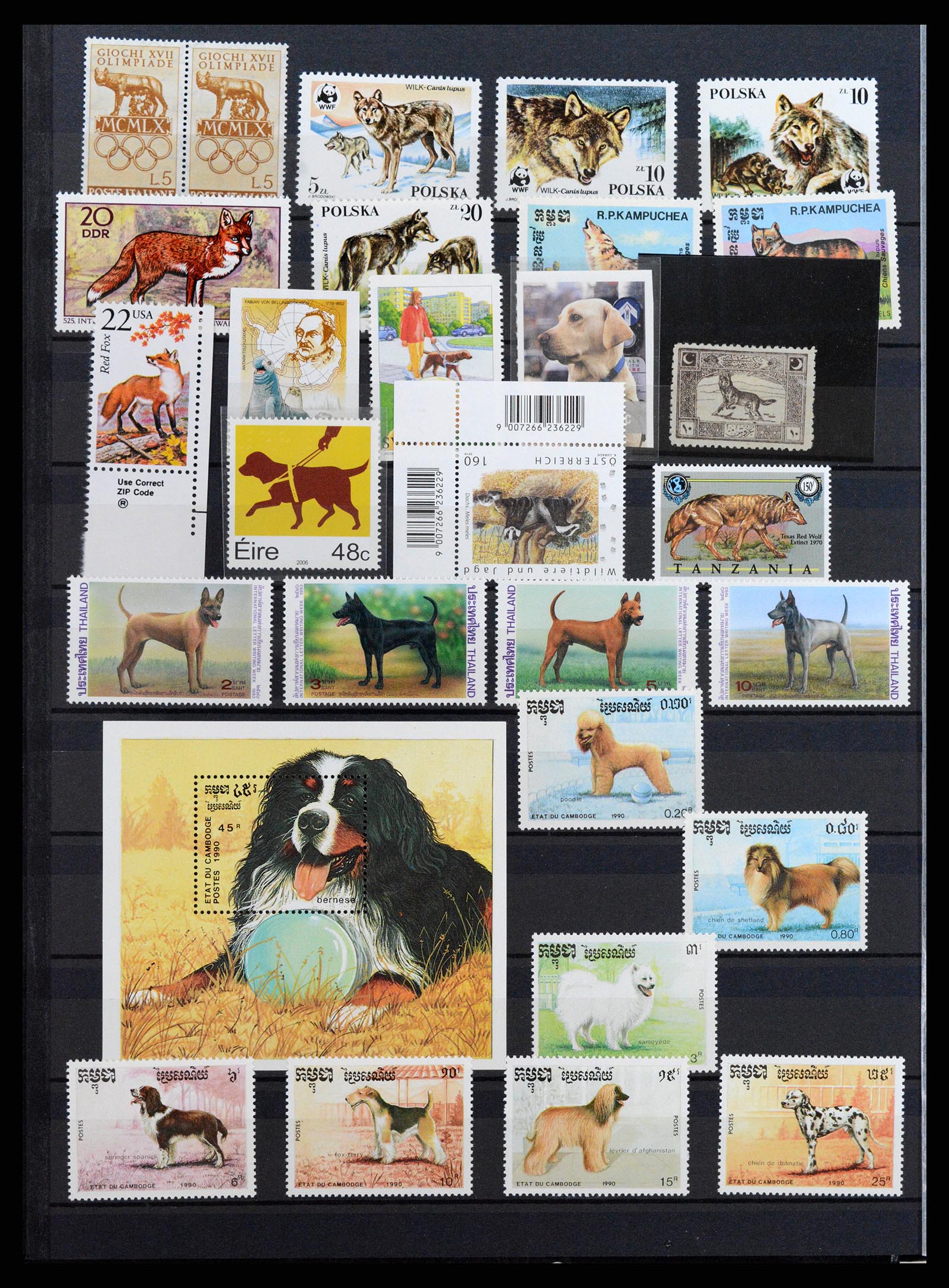 37671 086 - Stamp collection 37671 Thematics dogs 1950-2010.