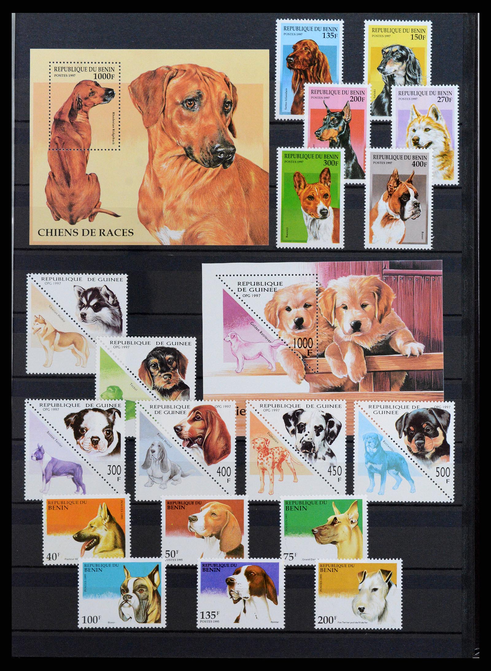 37671 087 - Stamp collection 37671 Thematics dogs 1950-2010.