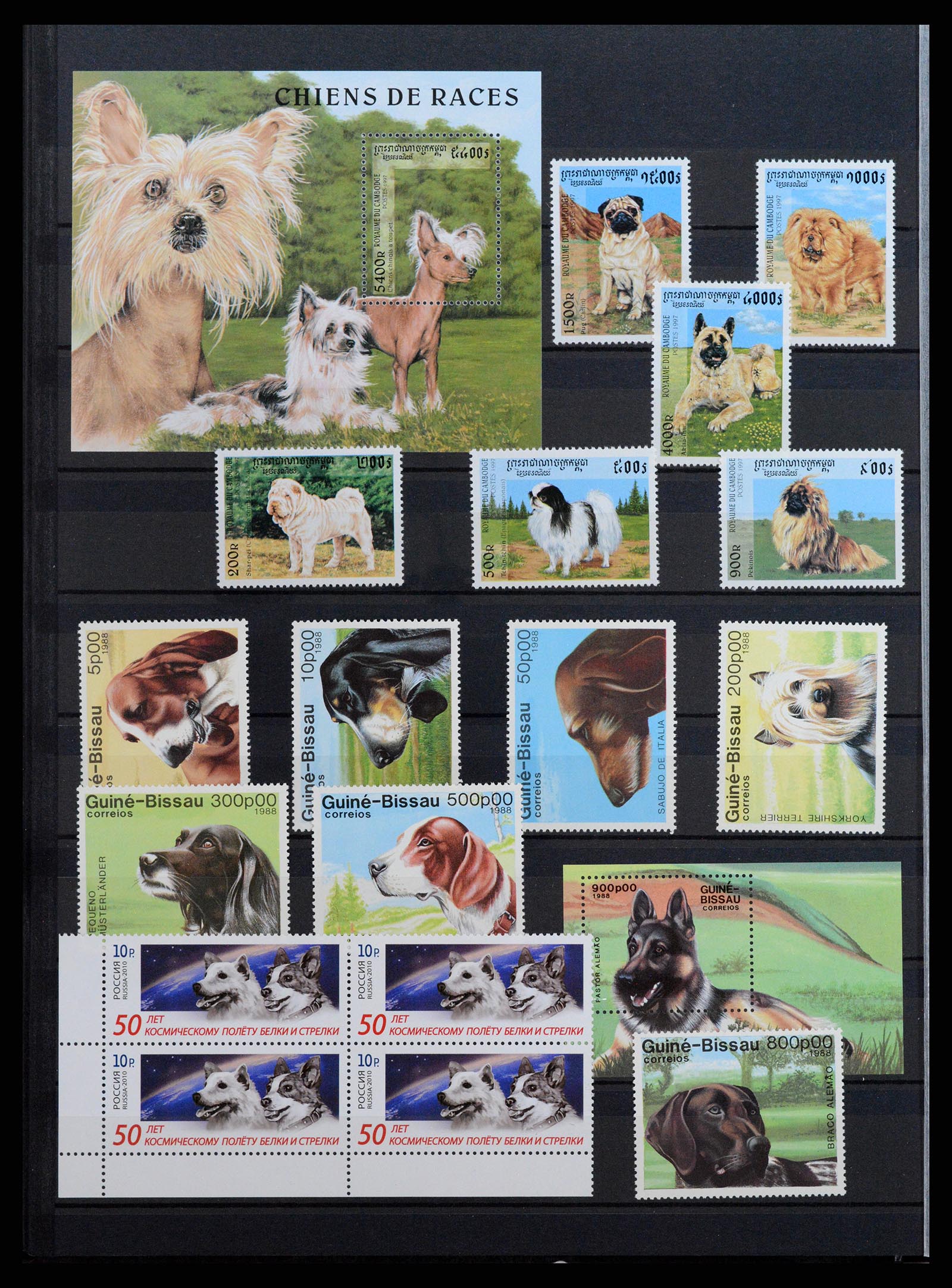 37671 088 - Stamp collection 37671 Thematics dogs 1950-2010.
