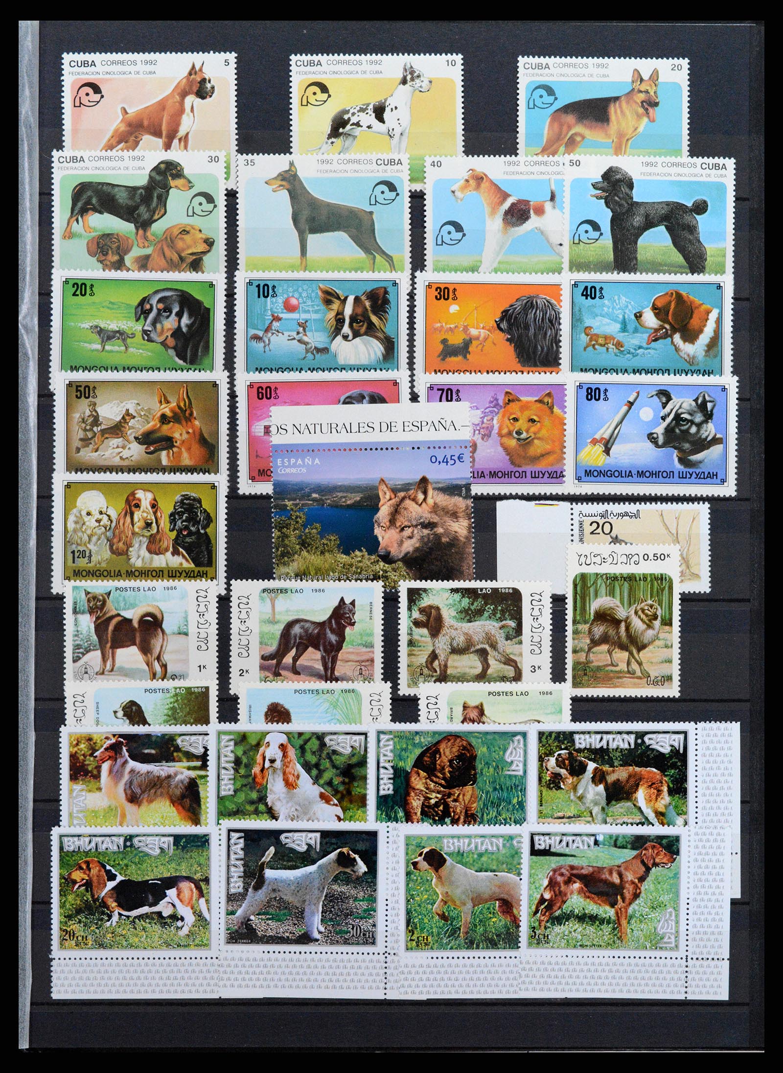 37671 089 - Stamp collection 37671 Thematics dogs 1950-2010.