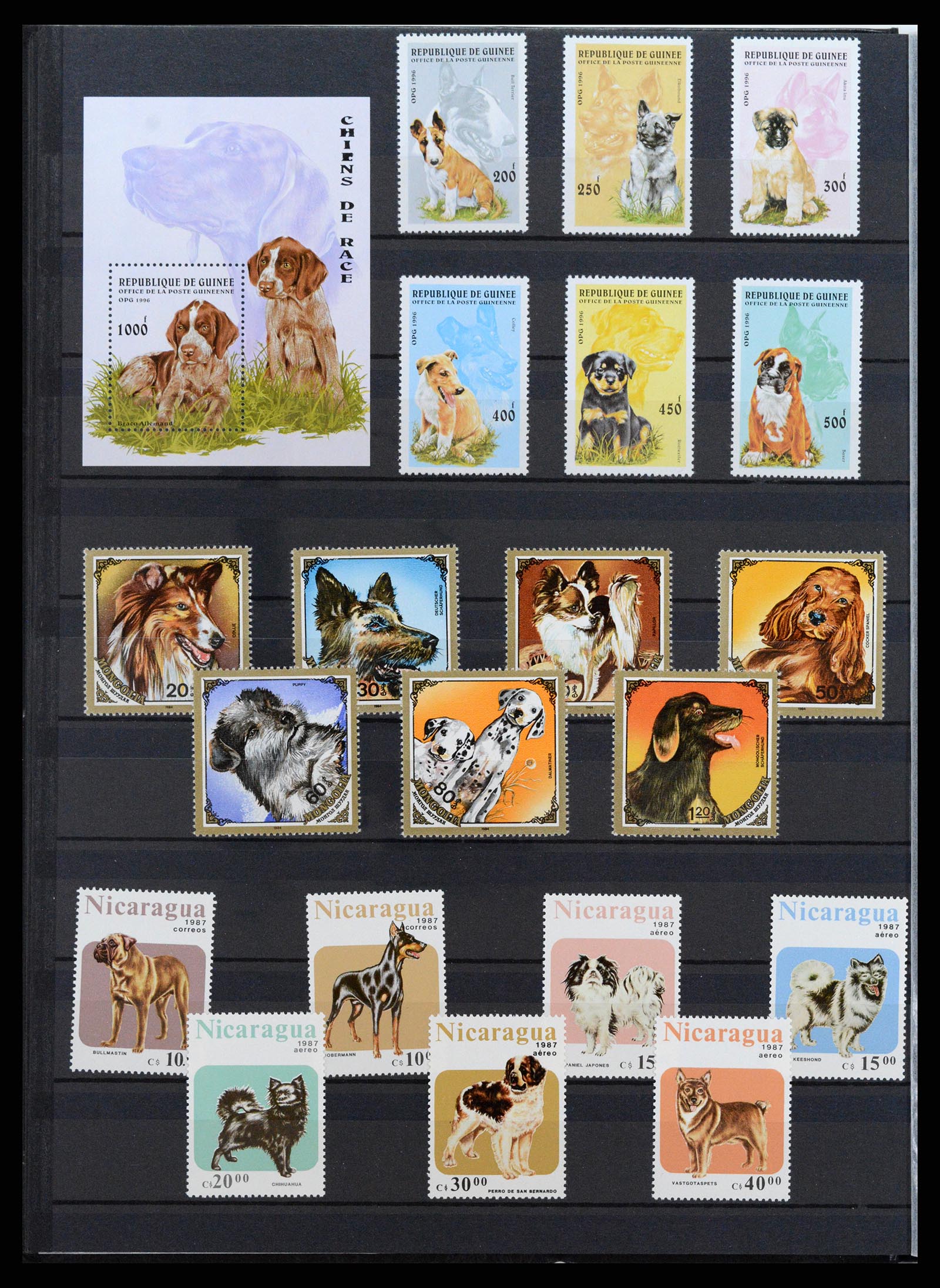 37671 090 - Stamp collection 37671 Thematics dogs 1950-2010.