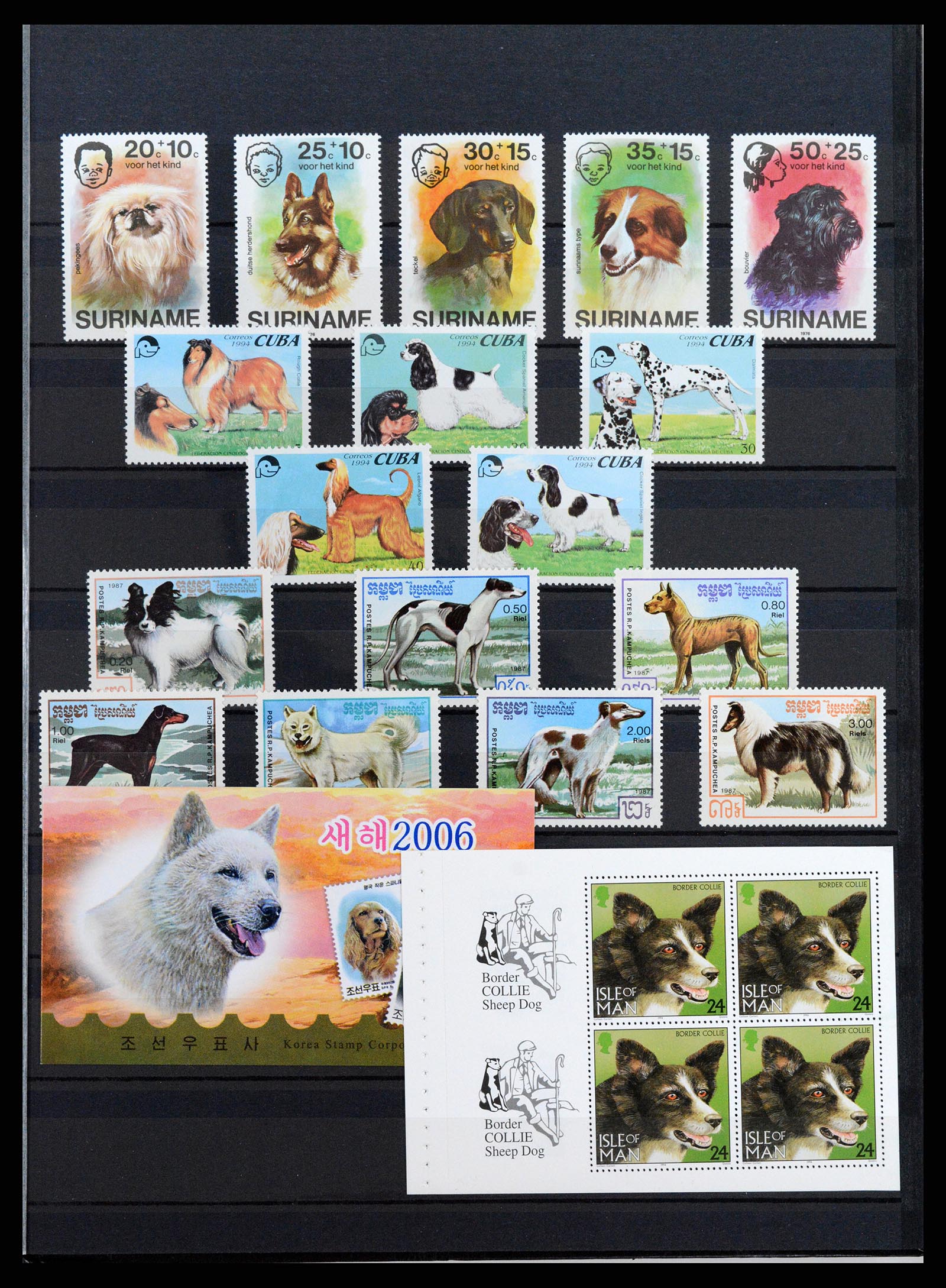37671 091 - Stamp collection 37671 Thematics dogs 1950-2010.
