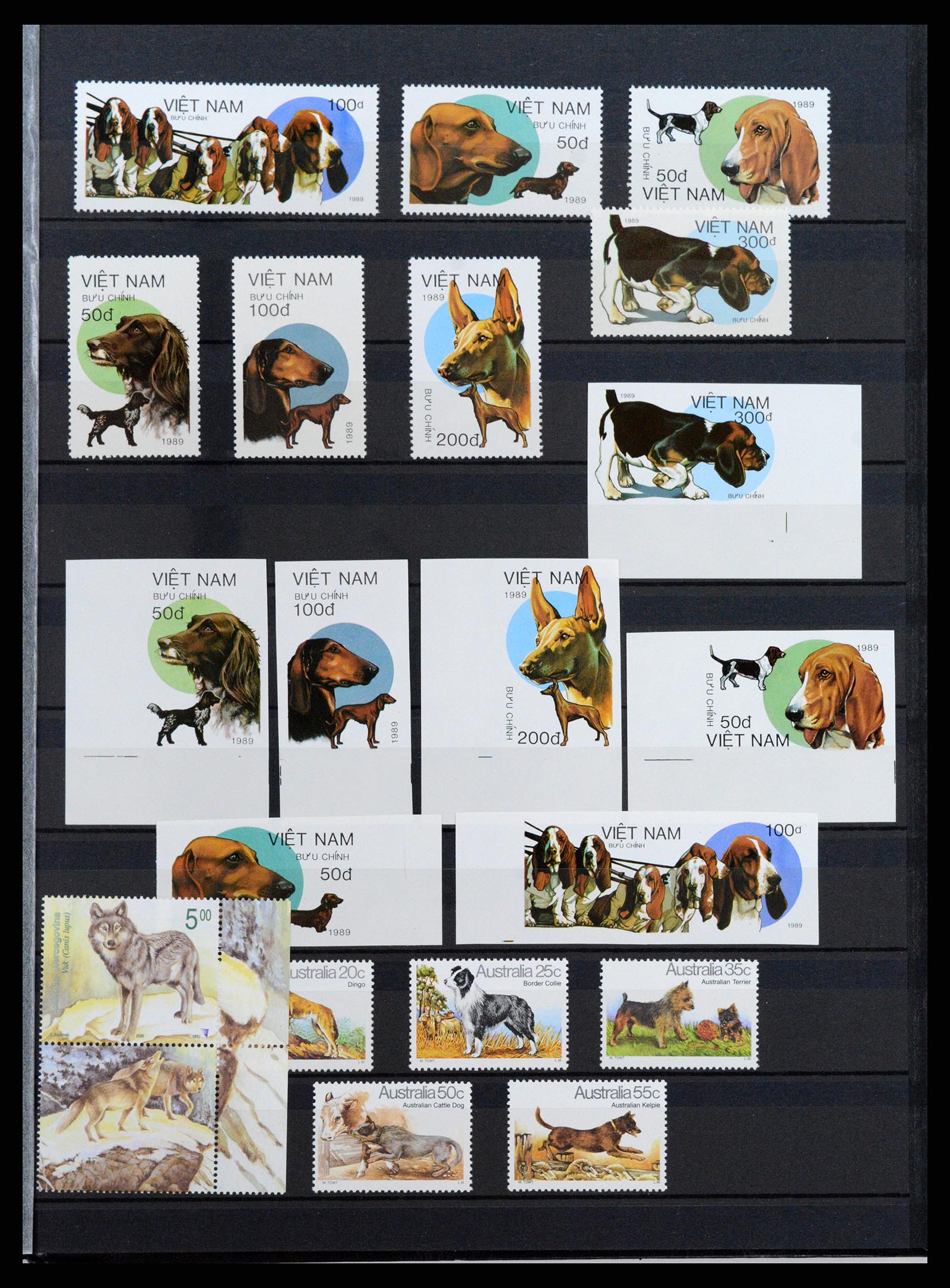 37671 093 - Stamp collection 37671 Thematics dogs 1950-2010.