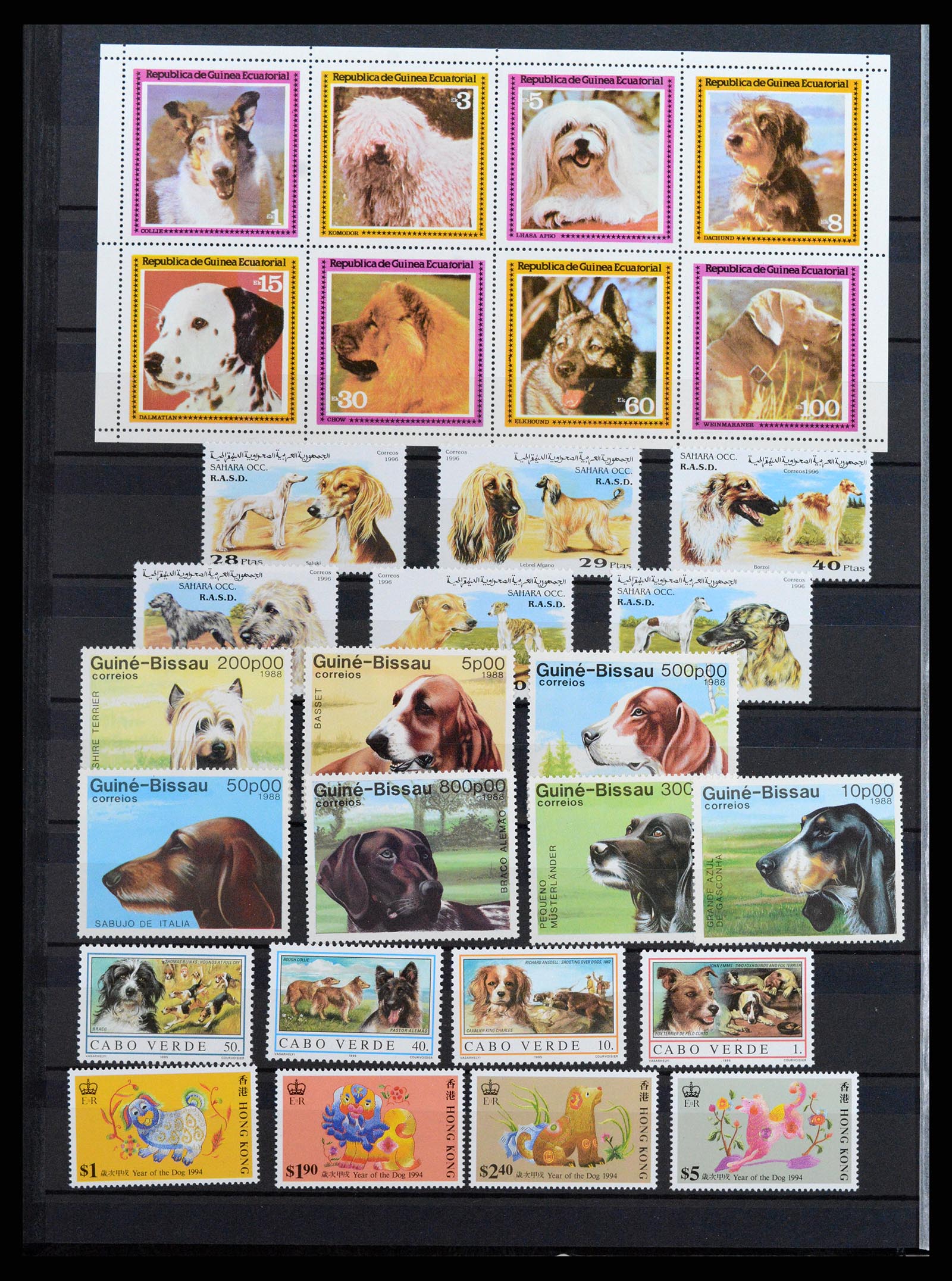 37671 094 - Stamp collection 37671 Thematics dogs 1950-2010.
